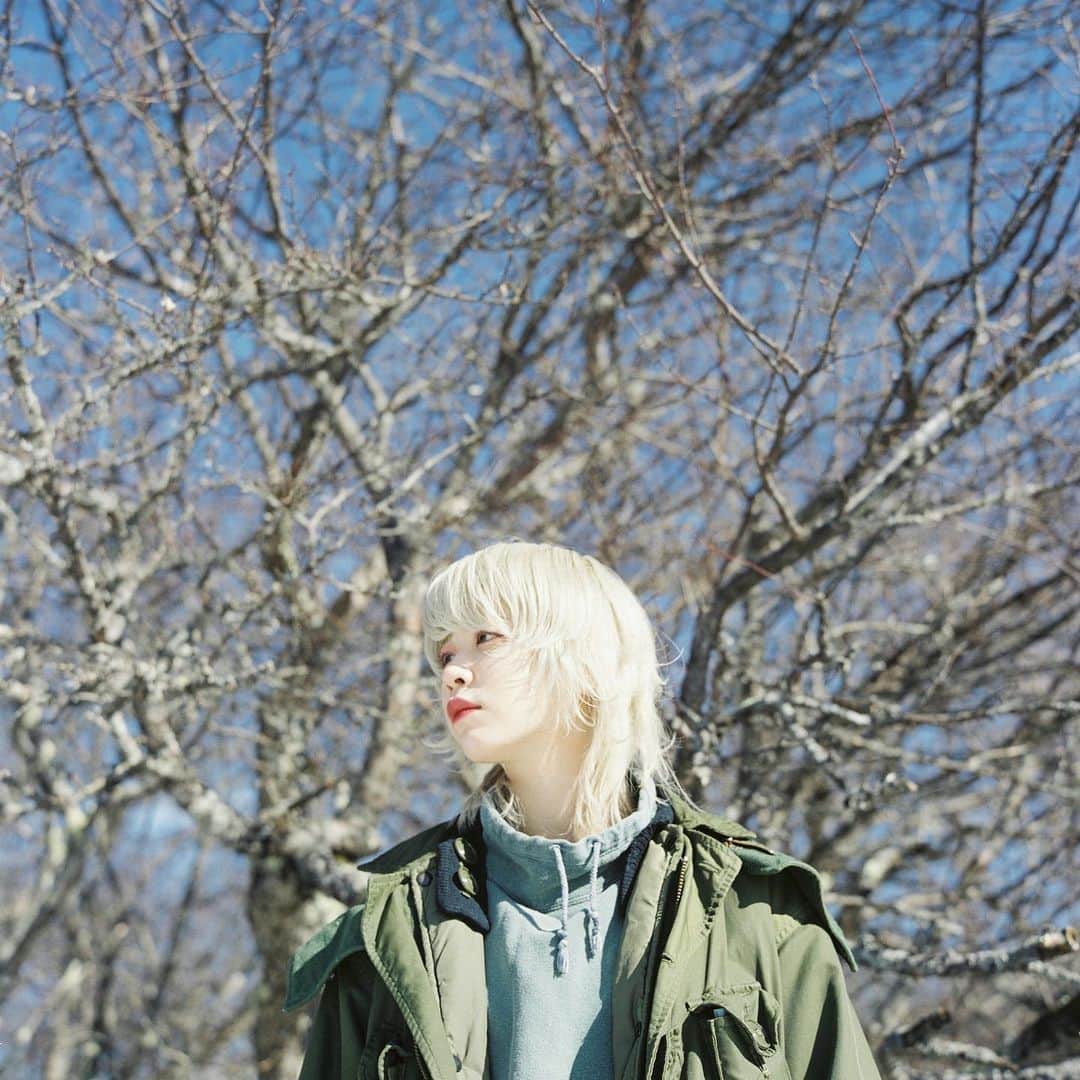 haru wagnusさんのインスタグラム写真 - (haru wagnusInstagram)「Tree and air and cold flow ㅤㅤㅤㅤㅤㅤㅤㅤㅤㅤㅤㅤㅤ ㅤㅤㅤㅤㅤㅤㅤㅤㅤㅤㅤㅤㅤ ただ黄昏て、冷たい風が少し吹いて、木の音や空気を感じて、また息を吐く。 ㅤㅤㅤㅤㅤㅤㅤㅤㅤㅤㅤㅤㅤ ㅤㅤㅤㅤㅤㅤㅤㅤㅤㅤㅤㅤㅤ #Rolleiflex28f 📷 #kodakportra400  #kodakprofessional  ㅤㅤㅤㅤㅤㅤㅤㅤㅤㅤㅤㅤㅤ ㅤㅤㅤㅤㅤㅤㅤㅤㅤㅤㅤㅤㅤ #fashionphotography #fashion #model #hueart_life #pcFace #phos_japan #thediscoverer  #good_portraits_world  #featuremepf #facesobsessed #fotodome #top_portraits #vscoportrait #arsenicmagazine #sodapopmagazine #film_com #peoplescreative #rei1440project #livefolk #pnwwonderland #greatnorthcollective #visualsoflife  #kdpeoplegallery」2月6日 20時21分 - wagnus