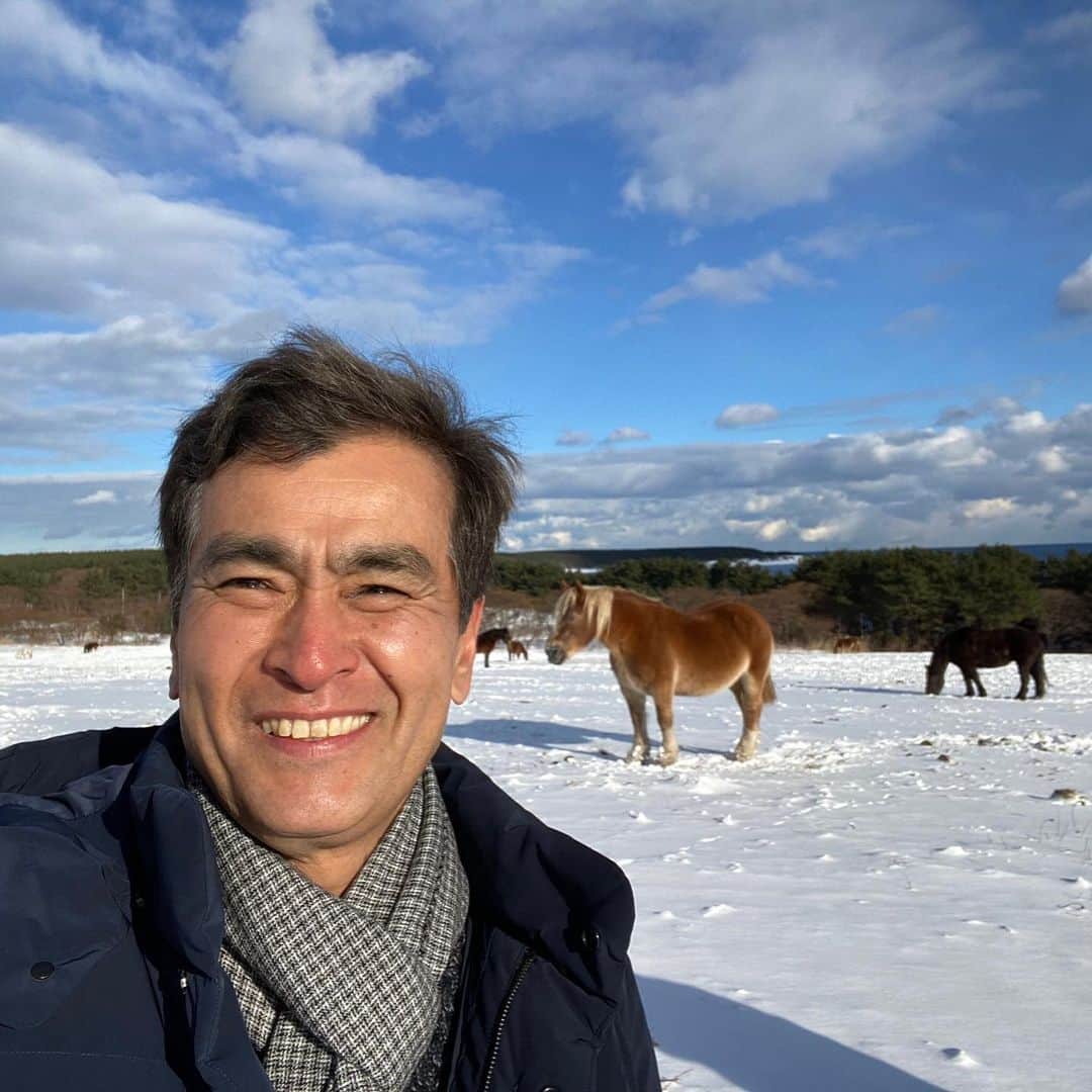石原良純さんのインスタグラム写真 - (石原良純Instagram)「ちなみに、下北半島には寒立馬もいたよ。放牧馬を寒立馬と名付けたのは地元の校長先生なのだとか。」2月6日 20時22分 - yoyoshizumi