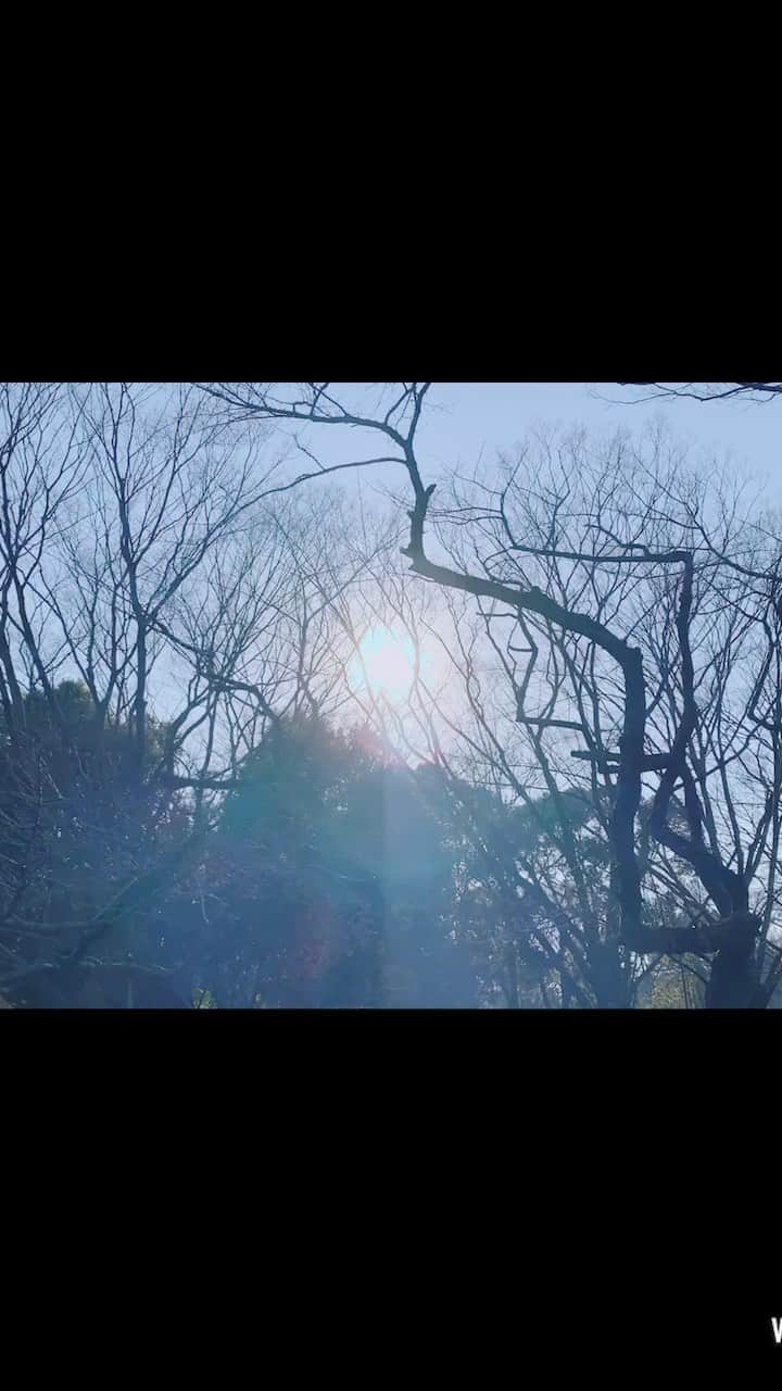 仲美咲のインスタグラム：「機械音痴な私が楽しくなった動画編集🙄🙄」