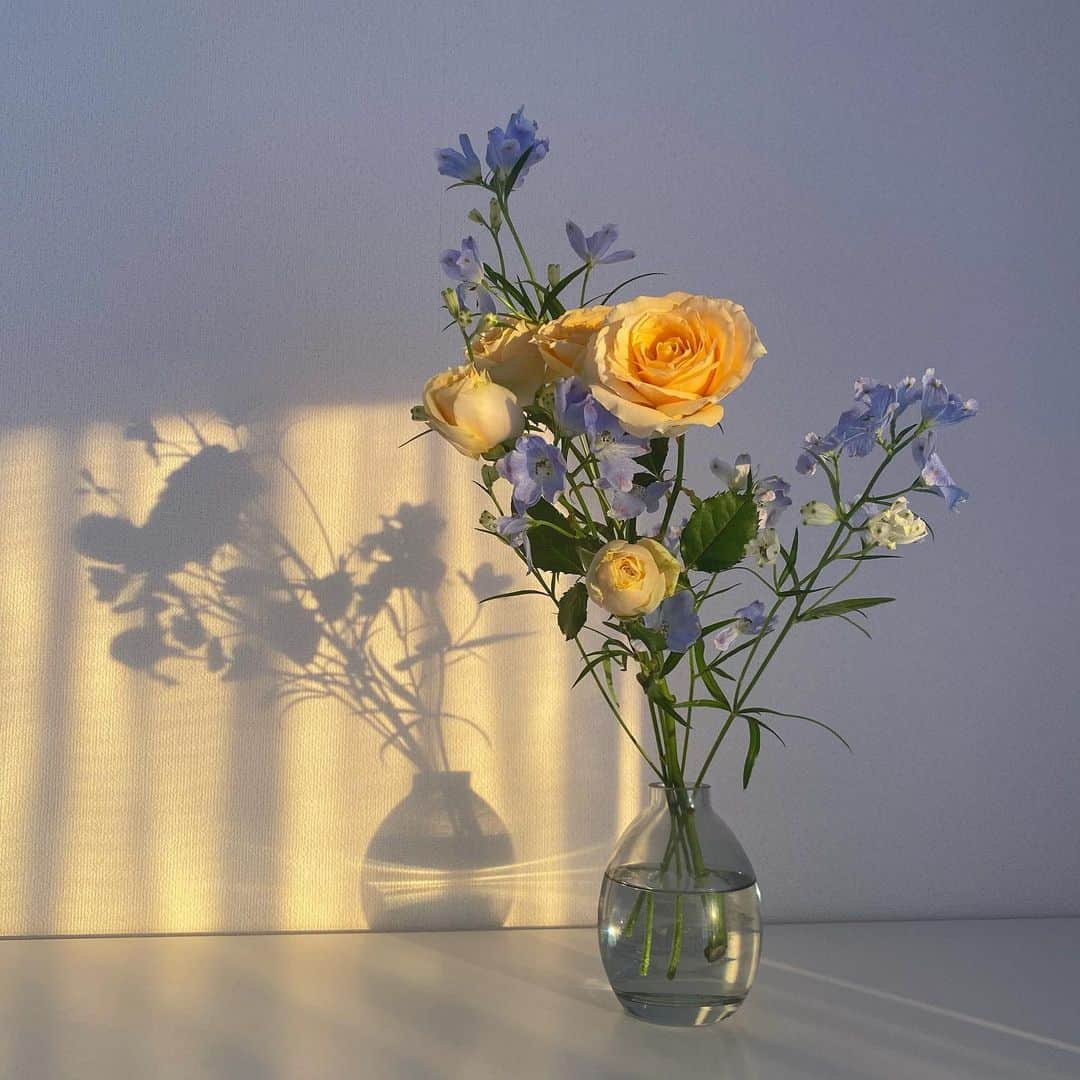 吉野マリアのインスタグラム：「. KAWAII🥰🧡 . また進撃一からみはじめた 面白い😳 . . #flower #rose #delphinium #flowers #flor #お花 #花のある暮らし #デルフィニウム」