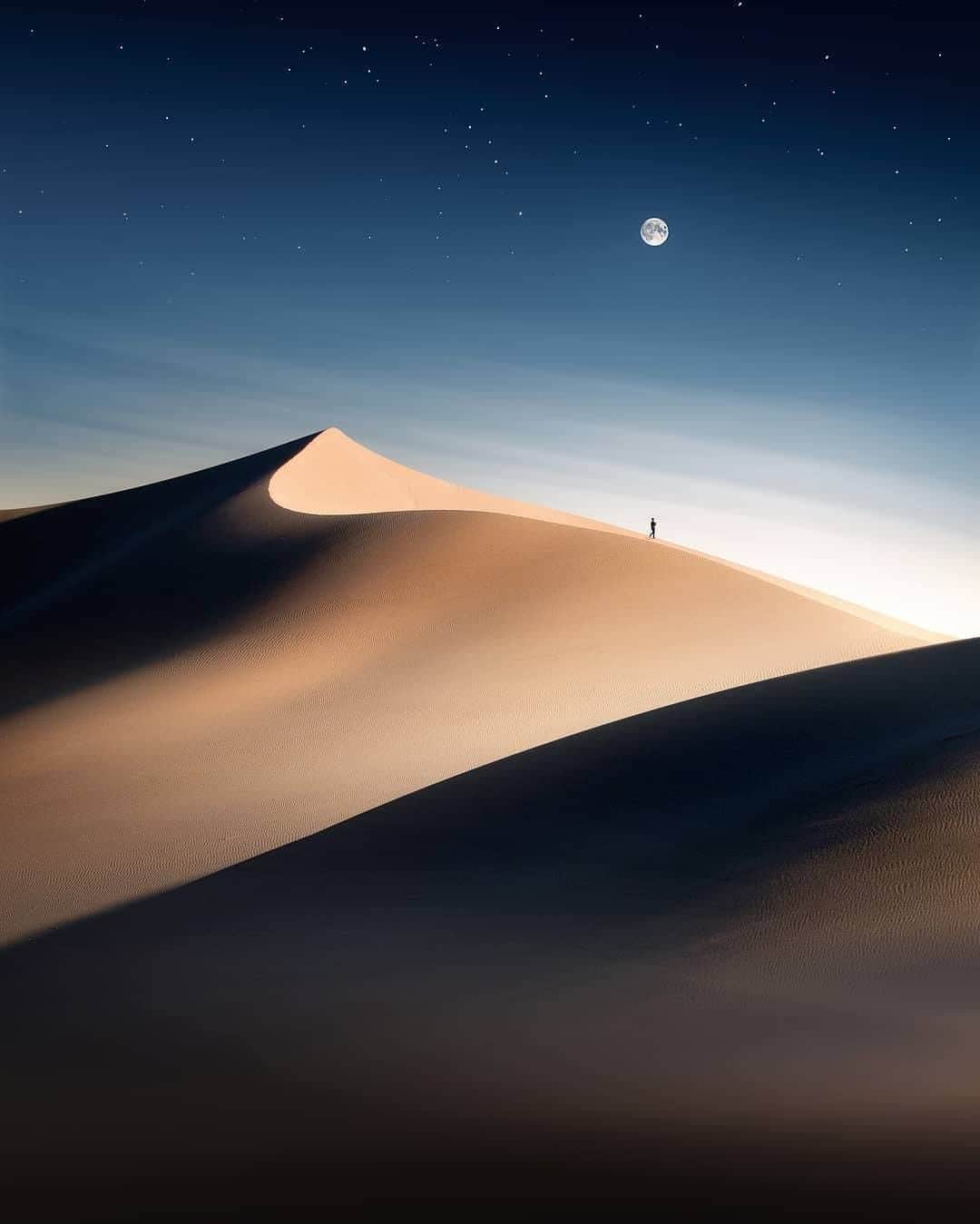 Discover Earthさんのインスタグラム写真 - (Discover EarthInstagram)「Under a desert moon. 🌕  🌎 #Discoverearth with @grafixart_photo (this photo is a composition) . . . .  #desert  #desertlife ​  #cactus ​ #sand  #dunes  #offroad  #sketch  #painting  #draw  #instaart  #picture  #color  #pic  #photos  #moon  #moonlight  #luna  #stars  #fullmoon  #nighttime  #nightsky  #nightynight  #dark  #lightsout  #sleeptime  #space」2月6日 20時30分 - discoverearth