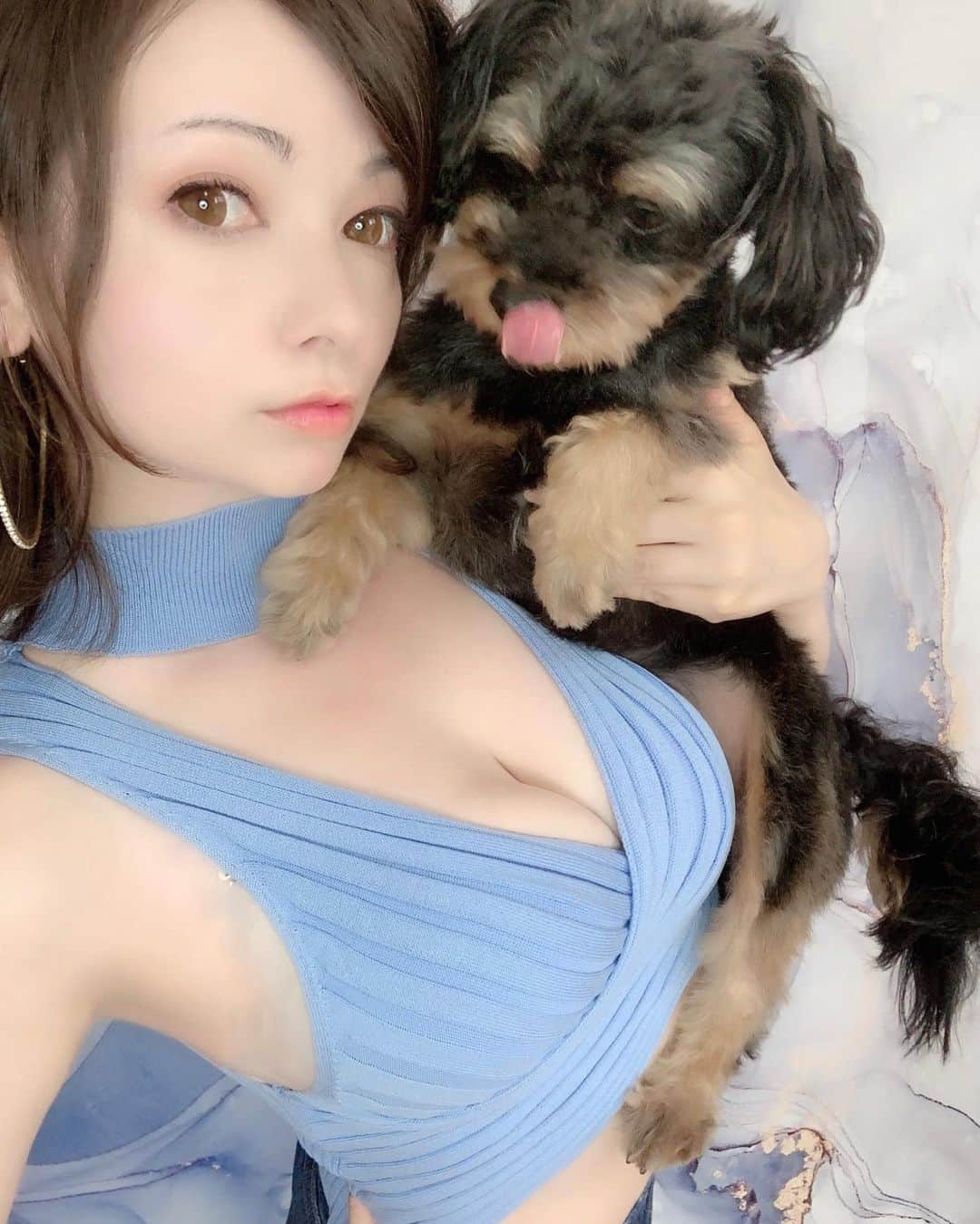 ミシェリマリコさんのインスタグラム写真 - (ミシェリマリコInstagram)「愛犬🐕‍🦺  * * *  ベスト投稿 🎖Top8🎖  うちの愛犬ライチくん😍 去年のどに悪性の腫瘍ができてお医者さんに長くないかもと言われて😭 でも今も元気に過ごしてるよ🥰🎶 大好きな愛犬💕  * * * * * * * * * * * * * #美肌 #色白女子  #カラコン #ハーフカラコン  #ナチュラルメイク #大人女子 #ピアス #フープピアス #セクシーファッション #セクシーコーデ #セクシーニット #水色コーデ #水色ニット  #むちむちガール #むちむちボディ  #ハーフ #ハーフ女子 #ハーフ顔 #名古屋サロモ #名古屋サロンモデル #愛知モデル #ショート女子 #ウルフカット女子  #ちわぷー男の子 #ちわぷー #愛犬との時間」2月6日 20時35分 - michellymariko