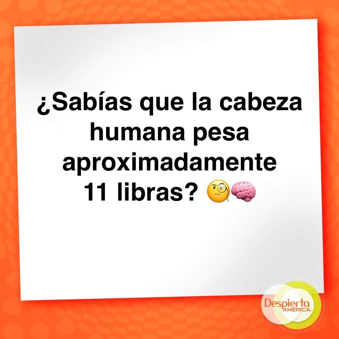 のインスタグラム：「¡Eso es más que un bebé recién nacido! 😧🧠💡#datodeldia」