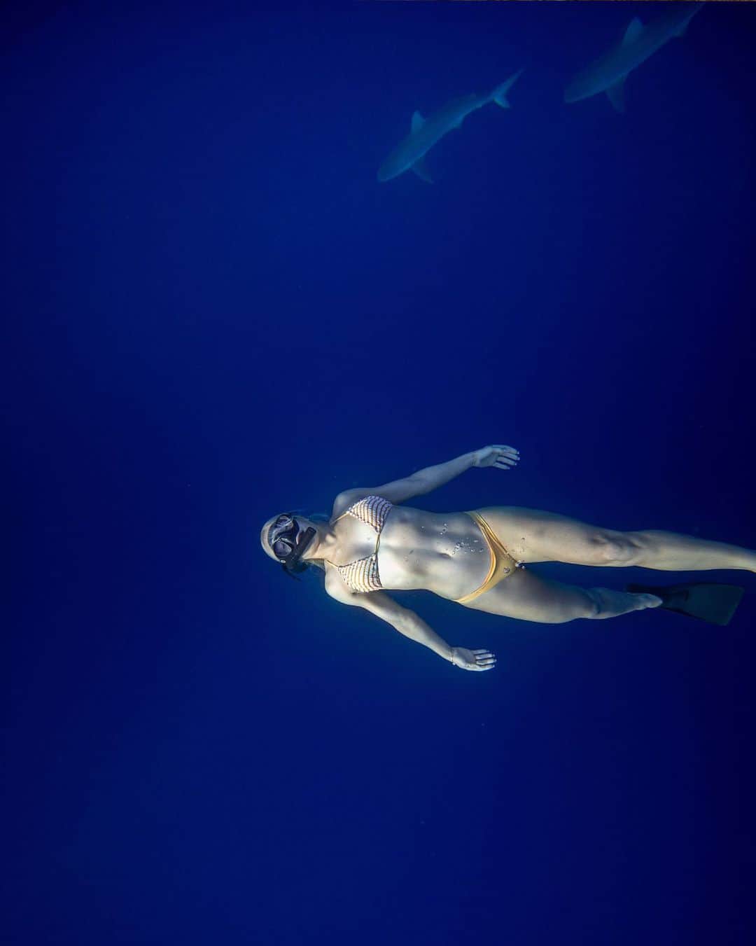 ボディーグローブさんのインスタグラム写真 - (ボディーグローブInstagram)「Into the blue with @tatiwest   ~~ 📷 @brentbielmann  #bodyglove #bodyglovegirl #allthingswater #sharkdiving #hawaii #oahu #freediving #divingwithsharks #deepbluesea #deepblue #intotheblue #bluewater #yellowbikini #yellow #snorkle #divefins #divemask #savethesharks #saveoursharks #sharkconservation #sharkconservationist #lovesharks #swimmingwithsharks #divingwithsharks  #protectsharks」2月7日 6時29分 - bodyglove