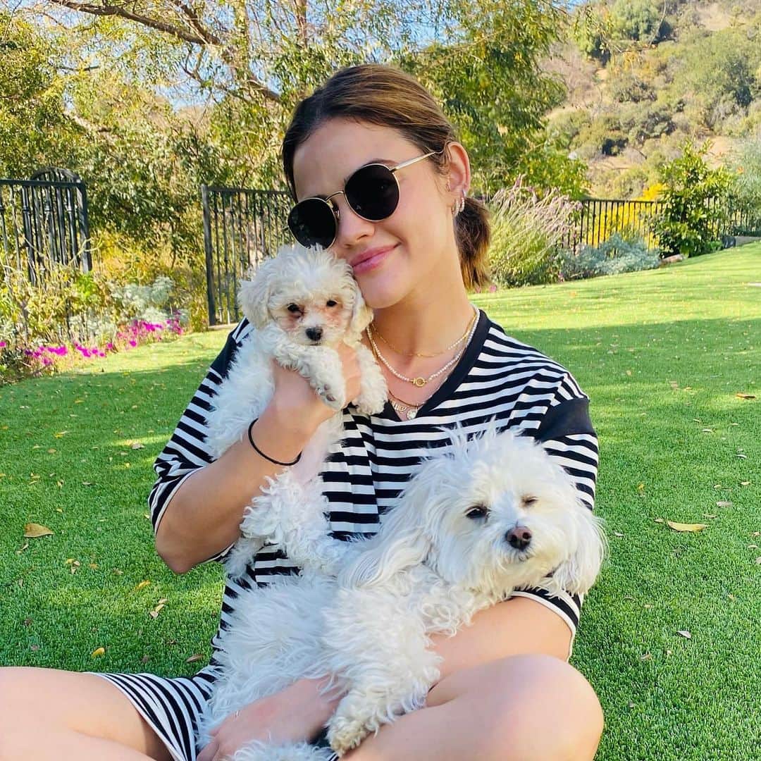 ルーシー・ヘイルのインスタグラム：「My little family of 3. Everyone meet Ethel. Thank you Melissa and everyone at @wagmorpets for rescuing her & for all you do to find safe homes for these angels. And big thank you to the best @kristenanniebell for fostering!! We love u🐾♥️」