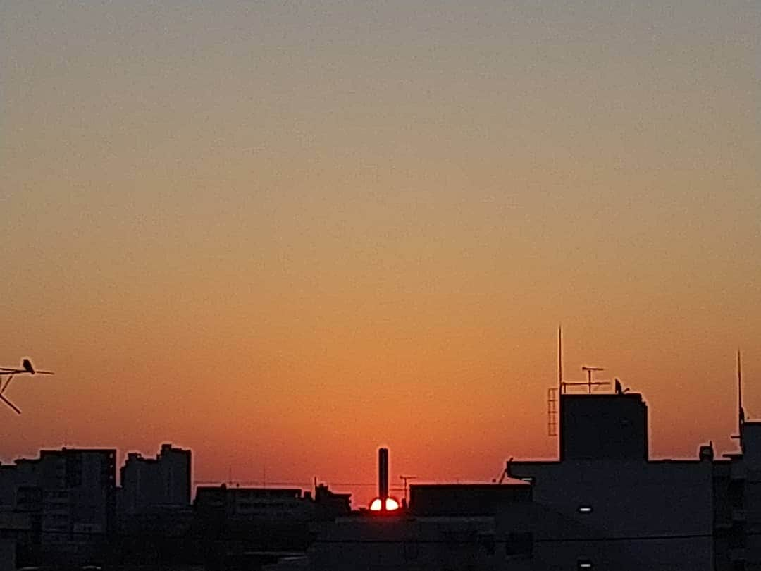 春山恵理のインスタグラム：「今朝の日の出🌄 ちょうどポールの部分から昇りだして、ロケット発射🚀みたいになりました！  年末には今のマンションを引っ越し、南&西窓の戸建の家になるので、今のうちに朝日をたくさん拝んでおこう！  #アサソラ  #朝日  #けさそら  #気持ちのいい朝  #空が好きな人と繋がりたい  #空が好き」