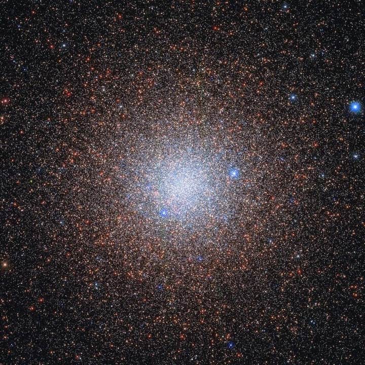 Discoveryさんのインスタグラム写真 - (DiscoveryInstagram)「There are about 150 known globular clusters in the Milky Way. Globular clusters contain some of the first stars to be produced in a galaxy, but the details of their origins and evolution still elude astronomers.  Photo + caption: ESA (European Space Agency) and ESA/Hubble & NASA, G. Piotto  #space #Nasa #hubble #astronomy #space #spacesaturday」2月6日 23時00分 - discovery