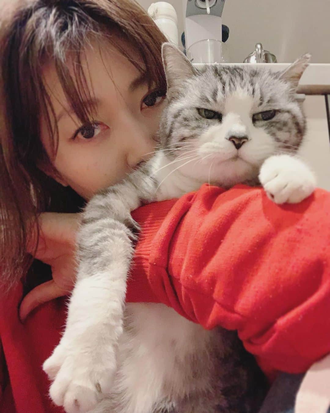 坂本美雨さんのインスタグラム写真 - (坂本美雨Instagram)「いろいろやらなきゃな時ほど、キッチンに座り込んでサバといちゃいちゃしてしまう。  2枚目のご婦人の顔… #cat #サバ美」2月6日 23時33分 - miu_sakamoto
