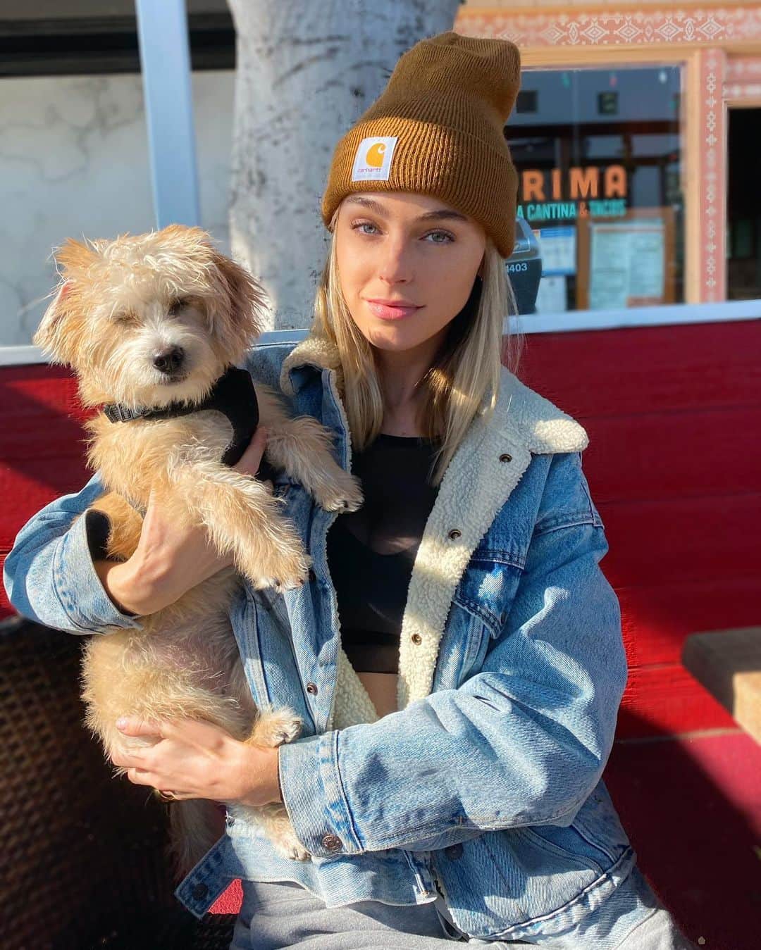 Elizabeth Turnerのインスタグラム：「Don’t you just love when your dog is cute & hilarious at the same time? Love you Zo zo thanks for lighting up my life 🥰🐶☀️#weekendswithZoe」