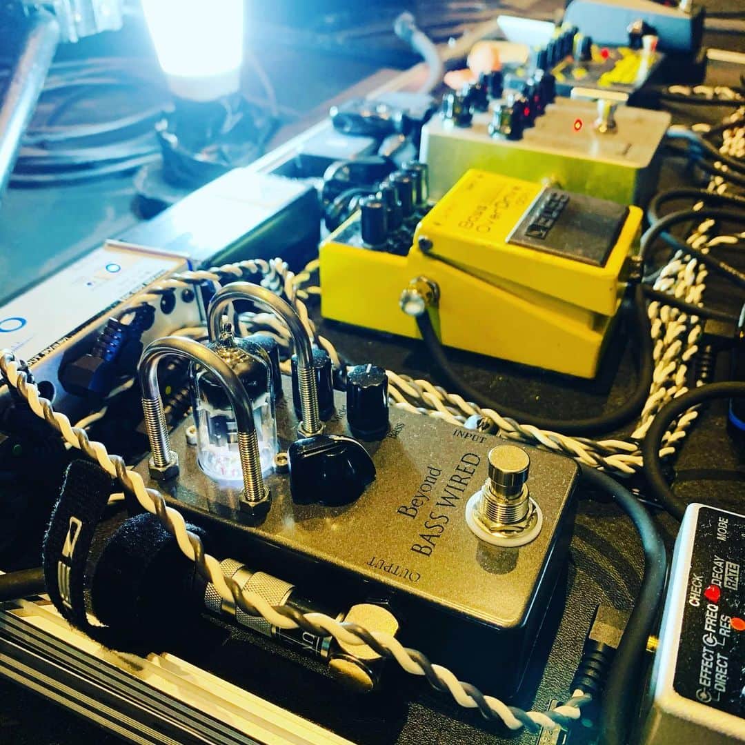 のインスタグラム：「ZeppNagoya、ありがとうございました！後ろの方まで、2階席も、よく見えました。ツアーも残すところあと1本。次は福岡、会場で会いましょう〜  写真は去年出会った機材。今回のツアーで大活躍しています。音も見た目もめちゃくちゃカッコ良い〜！  #凛として時雨 #zeppnagoya  #beyondbasswired  #真空管」