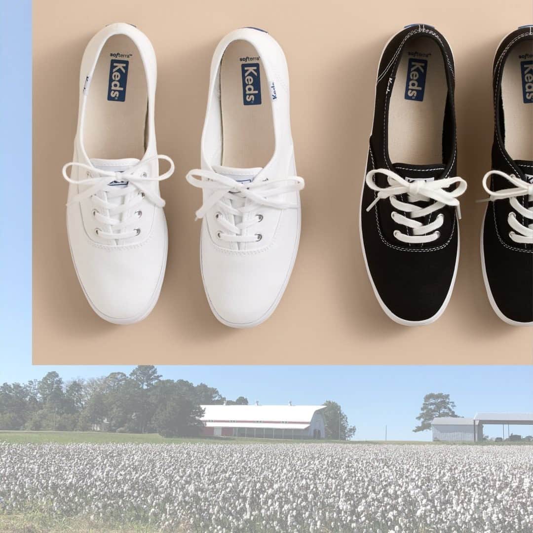 Kedsのインスタグラム：「New year, same planet. Want to take steps toward reducing your environmental footprint this year? We do too. That’s why we made a new version of our iconic sneaker featuring organically grown cotton. Get yours at Keds.com.」