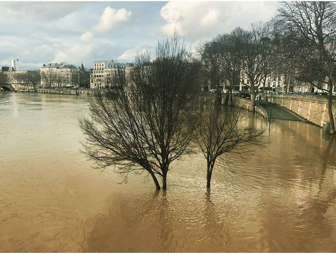 辻仁成さんのインスタグラム写真 - (辻仁成Instagram)「パリは今、長雨だから、セーヌ川が氾濫気味、、、でも、美しい。  デザインストーリーズに、他の写真アップしてます。見てね。」2月7日 1時21分 - tsujihitonari