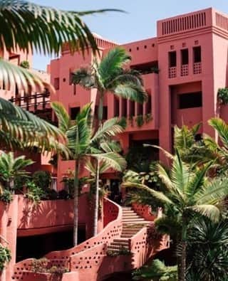 ワイルドフォックスクチュールさんのインスタグラム写真 - (ワイルドフォックスクチュールInstagram)「Pink palace and palm trees, take me away! 🌴💖 #wildfoxcouture」2月7日 2時02分 - wildfoxcouture