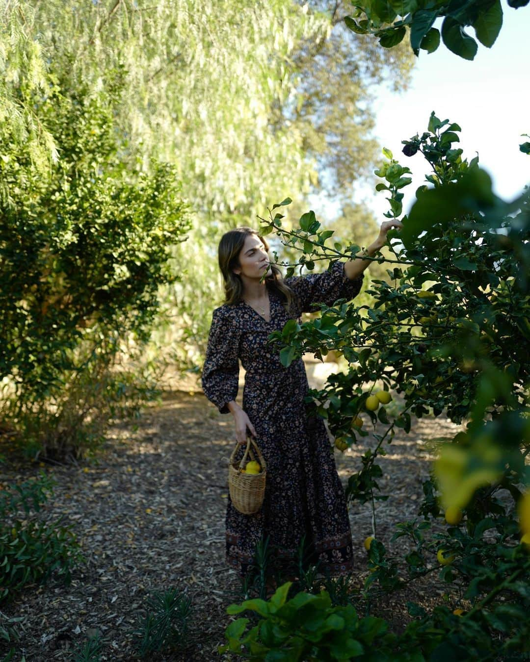 ニッキー・リードさんのインスタグラム写真 - (ニッキー・リードInstagram)「A pop of color to brighten the day. 🍋 True story, I only had one dress with me for the last 2 months as we moved all over the place so I wore it everyday. I love that it also serves as a good reminder for just how little we need. Happiness isn’t about having more, its about loving what we have. @christydawn thank you for producing consciously, and for thinking of me with this collection. I am always inspired by the sustainable brands around me, especially the female founded brands that are working hard to create outside the norm. The cotton from this dress comes from a regenerative farm, and I love knowing that it is possible to produce and wear pieces that go beyond sustainability by replenishing the resources we use while focusing on soil health and biodiversity. Big hugs and extra high fives to the team of hardworking ladies over there showing the fashion industry how its done!   #sustainablefashion」2月7日 2時22分 - nikkireed