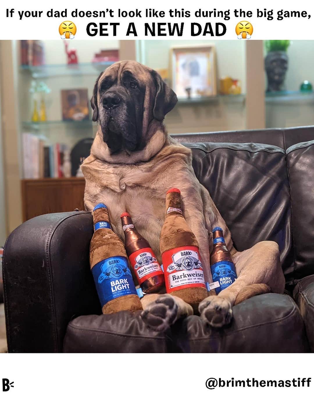 BarkBoxのインスタグラム：「We worked REAL HARD with our friends at @budweiserusa to make the PERFECT toys for the Big Game™️. ⁠ If you give the link in bio a lil clickerooni, you can get a free Bud toy when you sign up for BarkBox (dats me!) Already have a sub? WE GOTCHU. Login to your account and add the toys to your next box! ⁠ Go team! Go sportball!⁠ Go buy them! Your dog will love them! I love being employed!⁠」