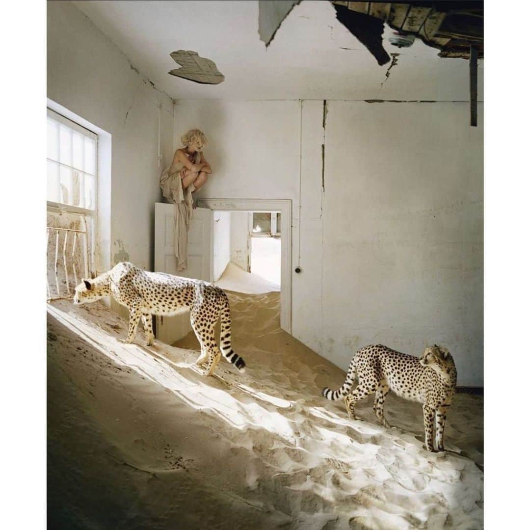アダムのインスタグラム：「Tim Walker for Vogue UK. May, 2011.」