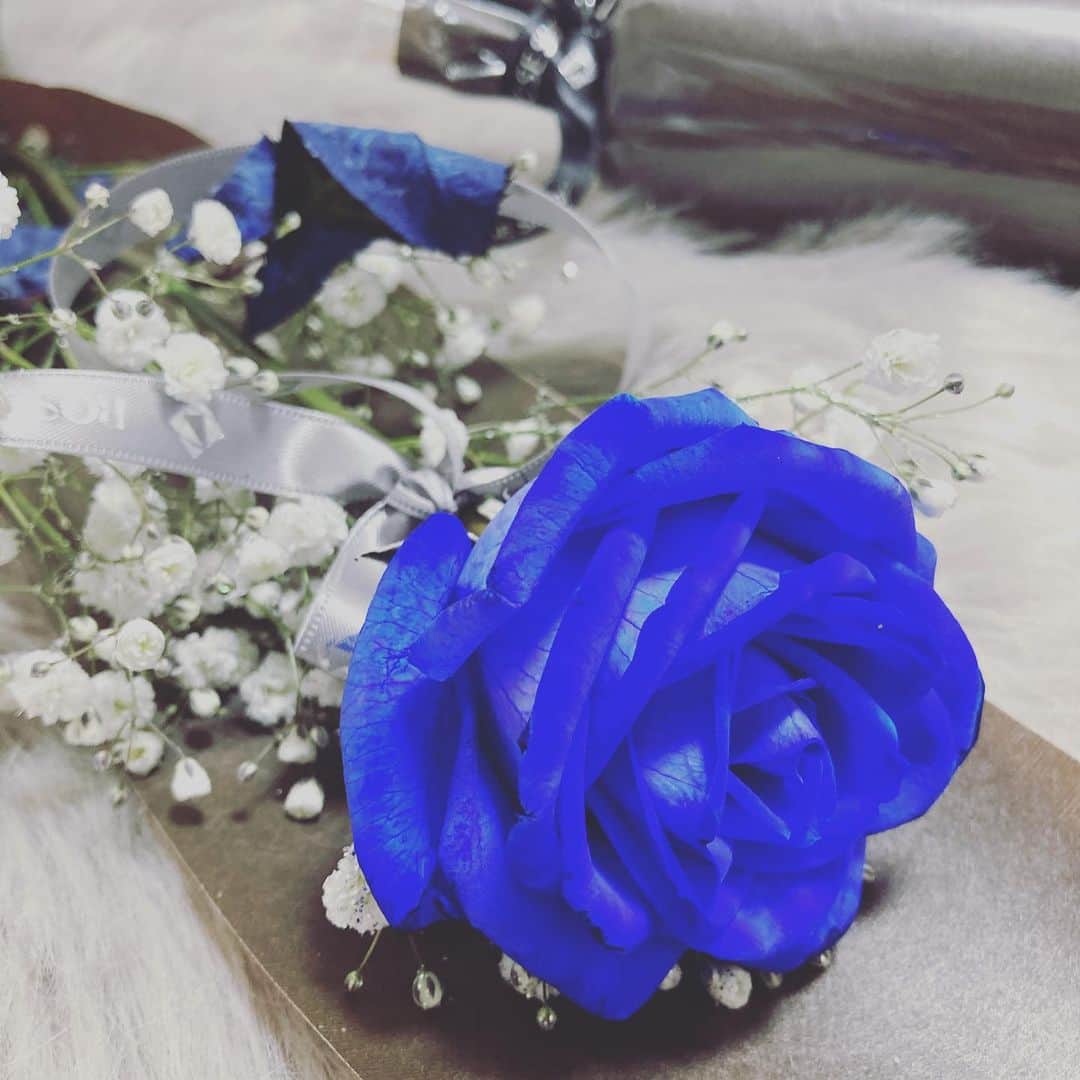 小阪有花（小阪由佳）さんのインスタグラム写真 - (小阪有花（小阪由佳）Instagram)「私が青い薔薇が好きなことを覚えていてくれたようで、彼がプレゼントしてくれました🌹 青い薔薇は自然に咲かないから人口だけど、それでも青い薔薇が好き！美しすぎる😢✨  薔薇は本当に美しいよね。 薔薇は枯れないんだよ。薔薇は枯れるのではなく、花びらが散っていくの！まさに死ぬ瞬間すら美しい！命つきるまで美しい！ 薔薇は究極の美だと思う！ 老いて行く哀愁も尊いけど、 やっぱり追いたいのは薔薇だなぁと🌹🌹🌹  そんな話とはあまり関係ないけど、これからはケンビキョウ 健康、美容、教育。が時代のテーマらしい！ けいとくん@9.11.21 が教えてくれた✨ 忘れないようにここにメモメモw  #薔薇 #バラ #青い薔薇 #美しい #顕微鏡 #ケンビキョウ #健康 #美容 #教育」2月7日 3時33分 - kosakayuka0627