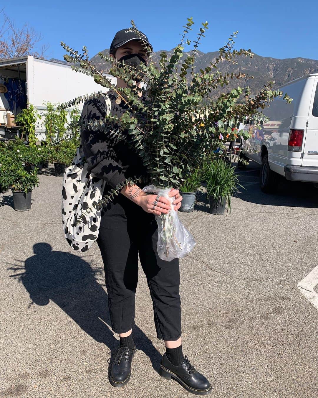 のインスタグラム：「honestly just proud of this $6 bundle of eucalyptus. namaste.」