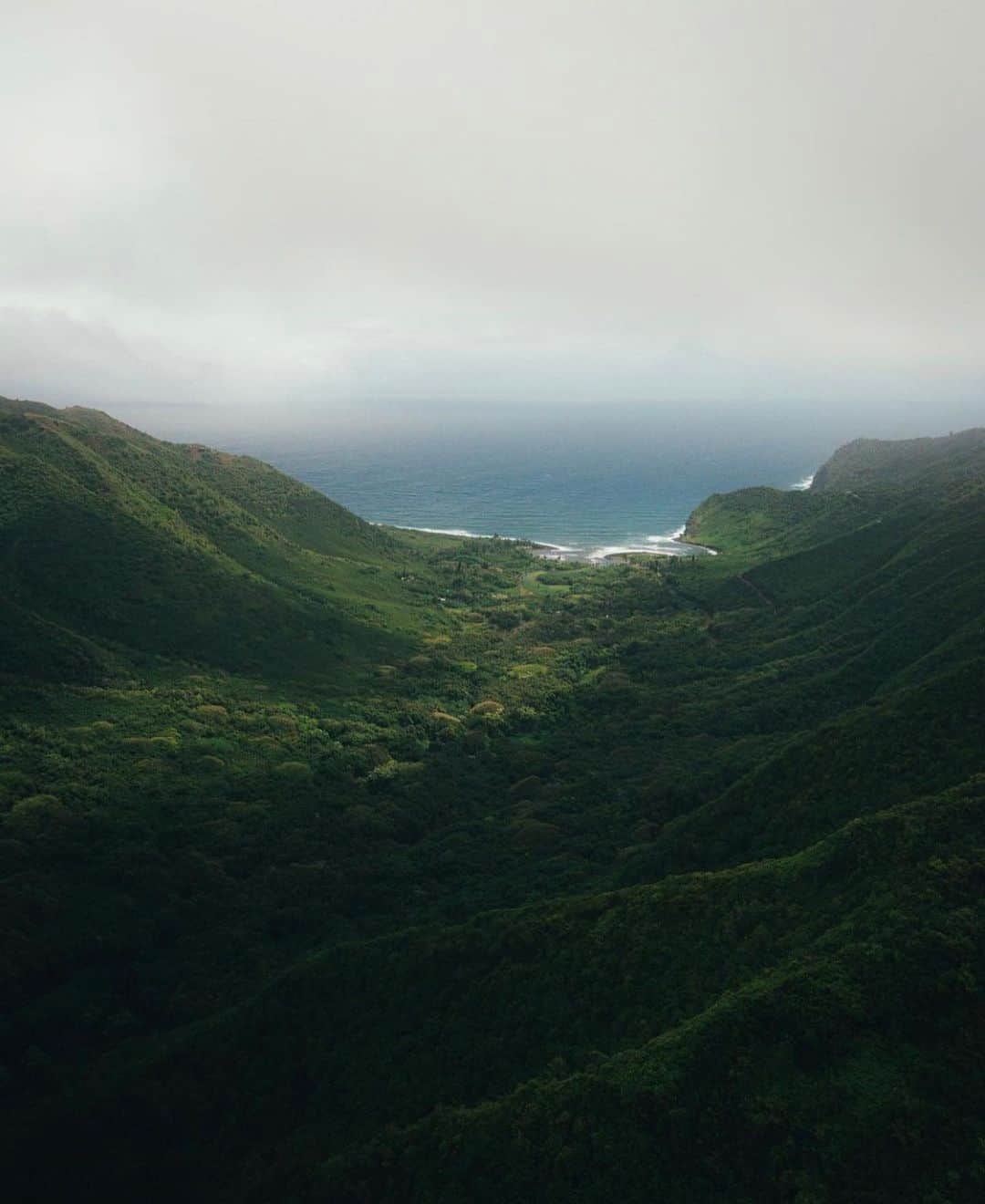 Earth Picsさんのインスタグラム写真 - (Earth PicsInstagram)「The beautiful Island of Maui! 🌴 Tag a friend you’d like to explore Maui! Photos by @wake.up.matt」2月7日 5時03分 - earthpix