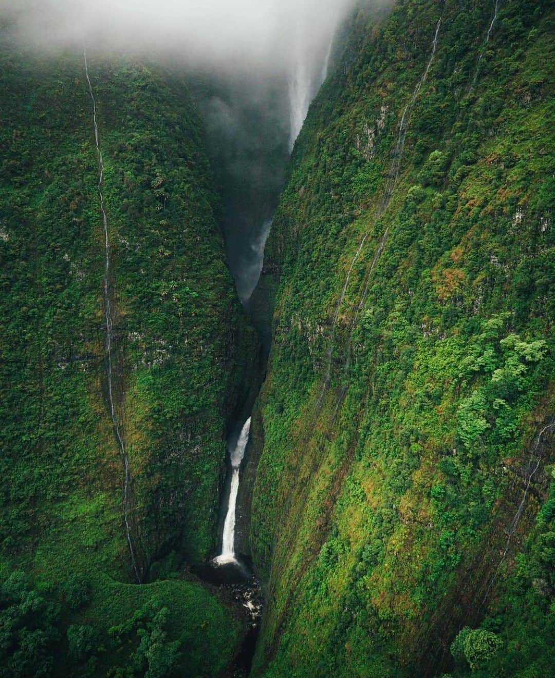 Earth Picsさんのインスタグラム写真 - (Earth PicsInstagram)「The beautiful Island of Maui! 🌴 Tag a friend you’d like to explore Maui! Photos by @wake.up.matt」2月7日 5時03分 - earthpix