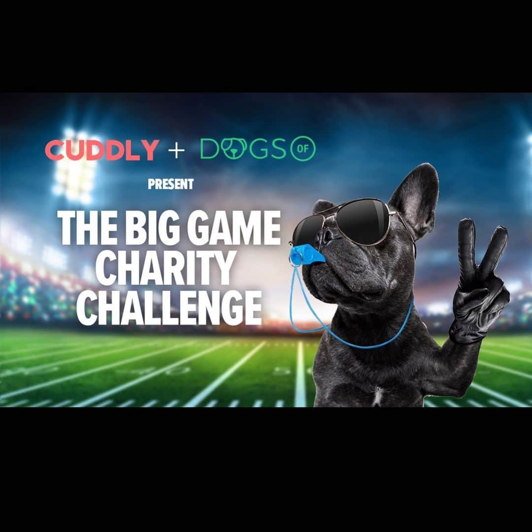 DogsOf Instagramさんのインスタグラム写真 - (DogsOf InstagramInstagram)「“Who’s ready for some football! 🏈”— @goldenlifeofleroy   Tomorrow is the last day of our Big Game Charity Challenge! (swipe ➡️)   Enter to win a gift card to @muttropolis + @theanxiouspet for yourself PLUS a @welovecuddly donation to the rescue of your choice! Link in bio for further details 🐾  Team Fluff and Team Ruff kick off tomorrow’s Puppy Bowl festivities at 11am PT/2pm ET. Who’s your team this year? (the correct answer is of course all of them) 🥰   #dogsofinstagram #superbowllv #puppybowl #footballdogs #charitygiveaway #givebackgiveaway」2月7日 6時18分 - dogsofinstagram