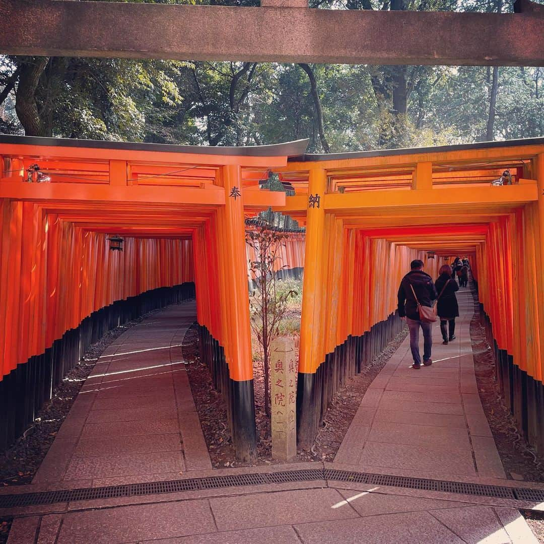 DJ AIKO 62さんのインスタグラム写真 - (DJ AIKO 62Instagram)「お稲荷さんへも初詣⛩  #京都に居ます  #伏見稲荷大社  #初詣 #djaiko62  #京都 #kyoto #千本鳥居」1月14日 14時00分 - djaiko62