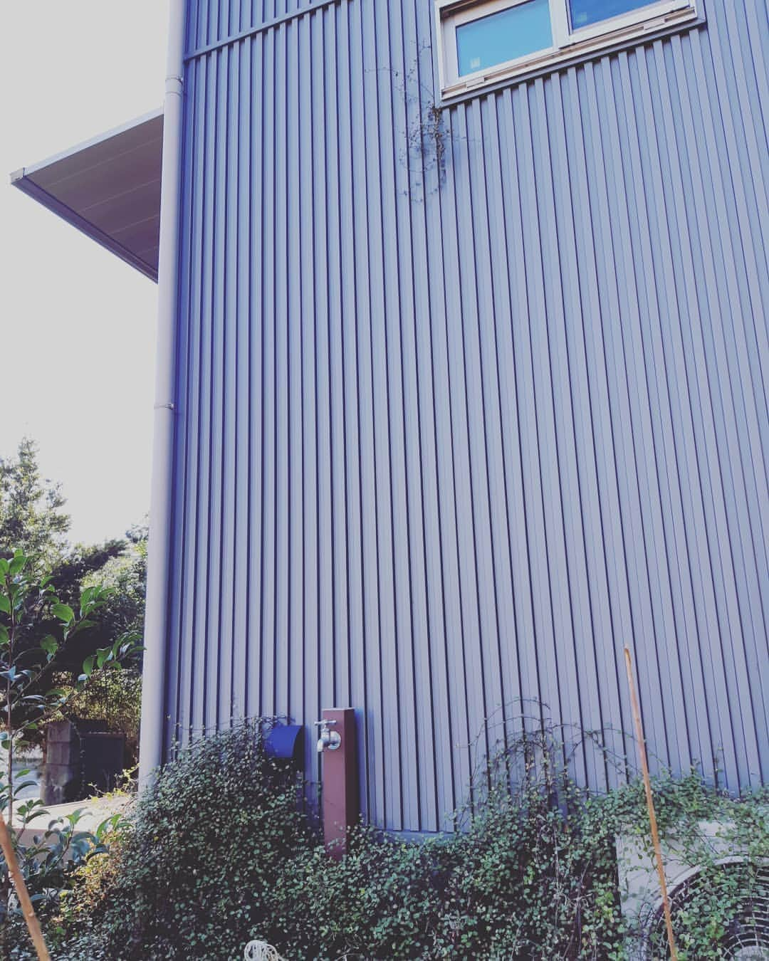 crie style クリエすずき建設さんのインスタグラム写真 - (crie style クリエすずき建設Instagram)「#窓から芽が出た  お客さまのお宅に資料をお届けしたついでに、外まわりを軽く点検。  家の外壁の通気性という観点から真面目に考えますと、モジャモジャ過ぎるのはあまり良い状態とは言えません。  ただ、なんか一生懸命生きてる感じが可愛くて素敵ですよね♡  私たちの住まいづくりに良く使われる #ガルバリウムの外壁 は耐久性も高く、自然の力との相性も抜群です！  #木の家 #バリアフリー #生涯設計 #ライフプラン #住まいと暮らしの窓口 #住ま暮らサポート #長期優良住宅 #長期保証 #建物点検 #修繕計画 #マイホーム借上げ制度 #家事楽 #テレワーク #ホームエレベーター #介護 #平屋 #減築 #２世帯 #リフォーム #リノベーション #楽しく人生をデザイン #crie_style #クリエスタイル #クリエ #クリエすずき建設」1月14日 14時05分 - crie_style