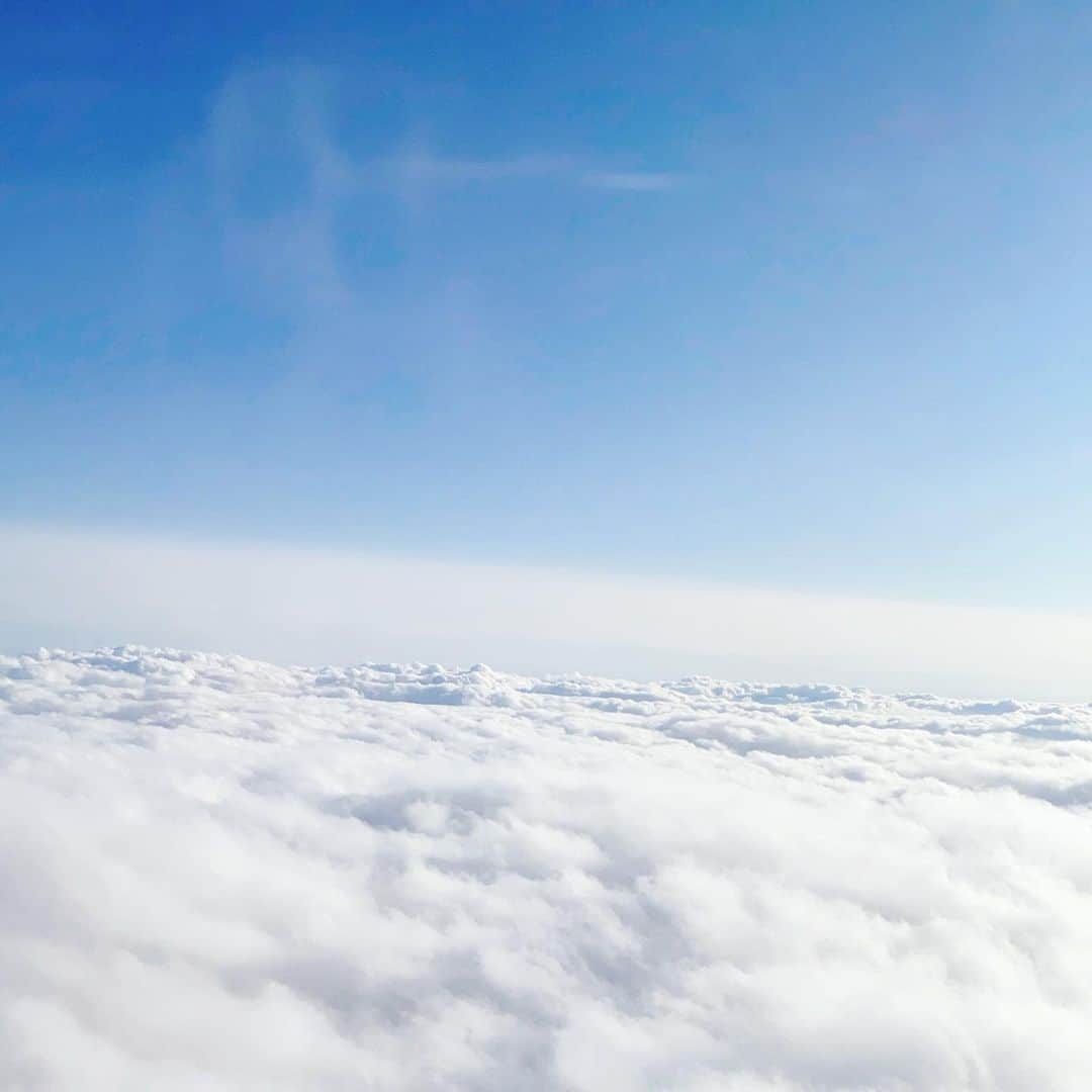 安西茉莉さんのインスタグラム写真 - (安西茉莉Instagram)「☁️✨﻿ ﻿ 雨が降ってても、﻿ 雲の上まで突き抜けたら晴れてるからね。﻿ 落ち込んで、落ち込みきったら、﻿ 自分が上に行けばいいよ。﻿ ﻿ ﻿ 飛行機に乗ってて気づいたこと。﻿ ﻿ 昨年10月、大分に向かう飛行機です✈﻿ ﻿ #sky #cloud #skyphotography  ﻿  ﹊ ﹊ ﹊ ﹊ ﹊ ﹊ ﹊ ﹊ ﹊ ﹊ ﹊ ﹊﻿ Twitter 🔍 安西茉莉 ＠anzaimari﻿ Online salon 🎀﻿ plz check my home URL, and join us！﻿  ﹎ ﹎ ﹎ ﹎ ﹎ ﹎ ﹎ ﹎ ﹎ ﹎ ﻿ ﻿ #限界管理栄養士 #レースクイーン #ラウンドガール﻿ #ピアドル #コスプレイヤー #管理栄養士﻿ #ショートヘアアレンジ #ショートカット﻿ #美腿 #followme #Japanesecosplayer」1月14日 14時06分 - mysweetpn