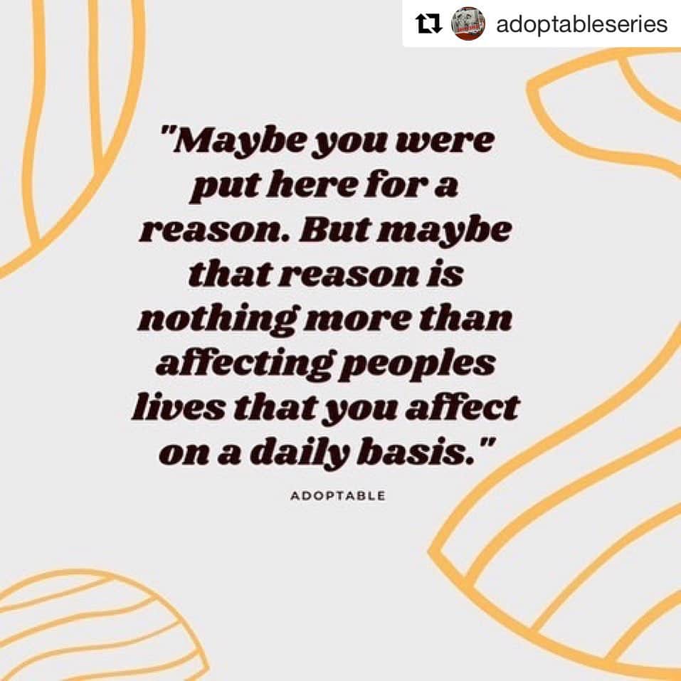 のインスタグラム：「My mom actually said this to me when I was in an existential crisis. Glad I was able to share her wisdom in @adoptableseries ! #Repost @adoptableseries  ・・・ Wednesday Wisdom for you. You're special, well at least special to those around you. You're welcome. Watch @adoptableseries now on @starbabynetwork」