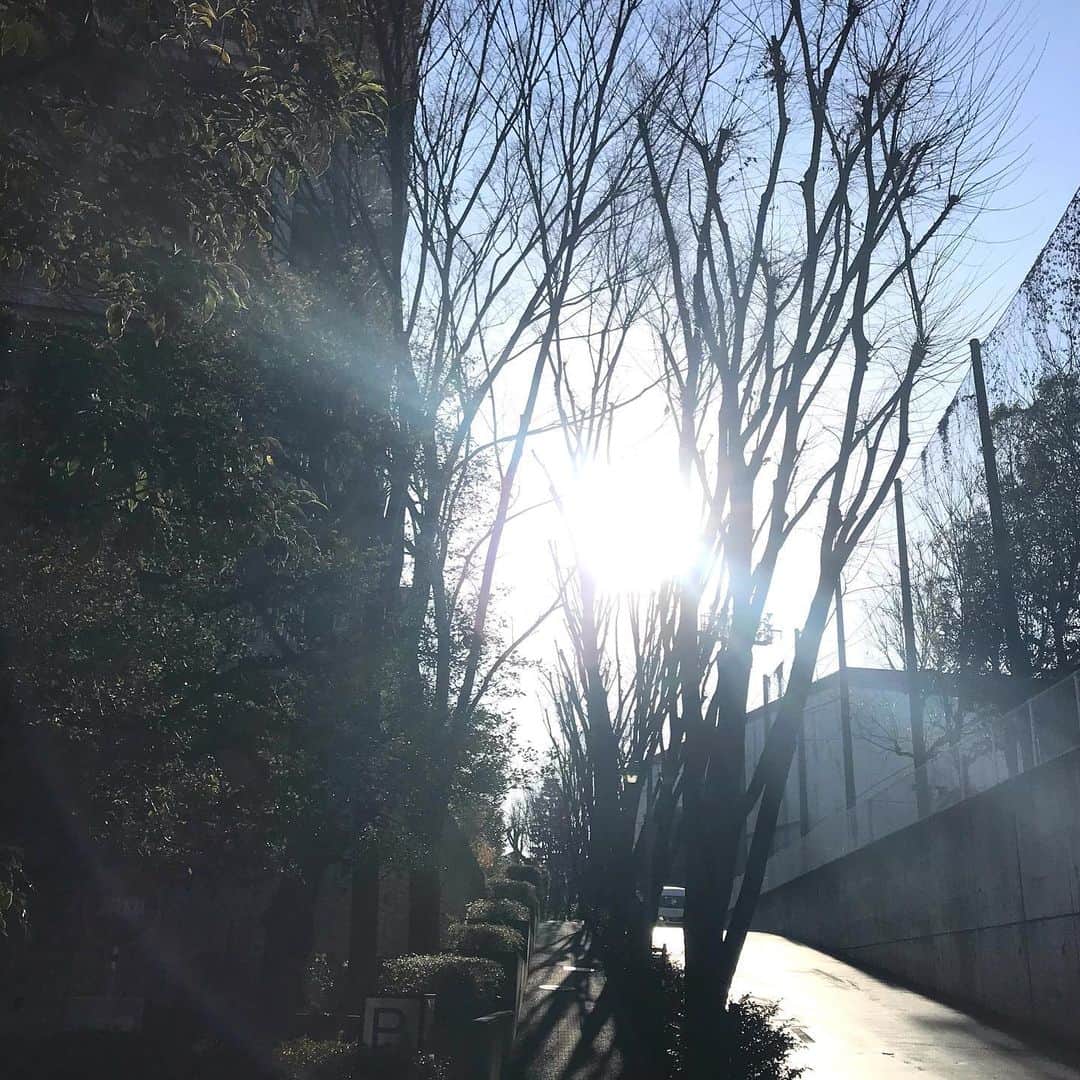 土屋眞弓のインスタグラム：「いつも何処に行くのも車なのでたまには歩かなくちゃ😅 と思い立ち、30分ほど散歩🐾🐾🐾 散歩と言えないくらいの距離🤣 普段絶対に通らない細い道や小さな公園の横を通ってみました🥰 目の前の太陽が☀️✨✨✨ キラキラ✨✨✨ 改心して明日も歩こうと思いました‼️ 近所なのに知らないお店や公園があってビックリ🤭  #散歩日和 #sunnyday  #sunshine」