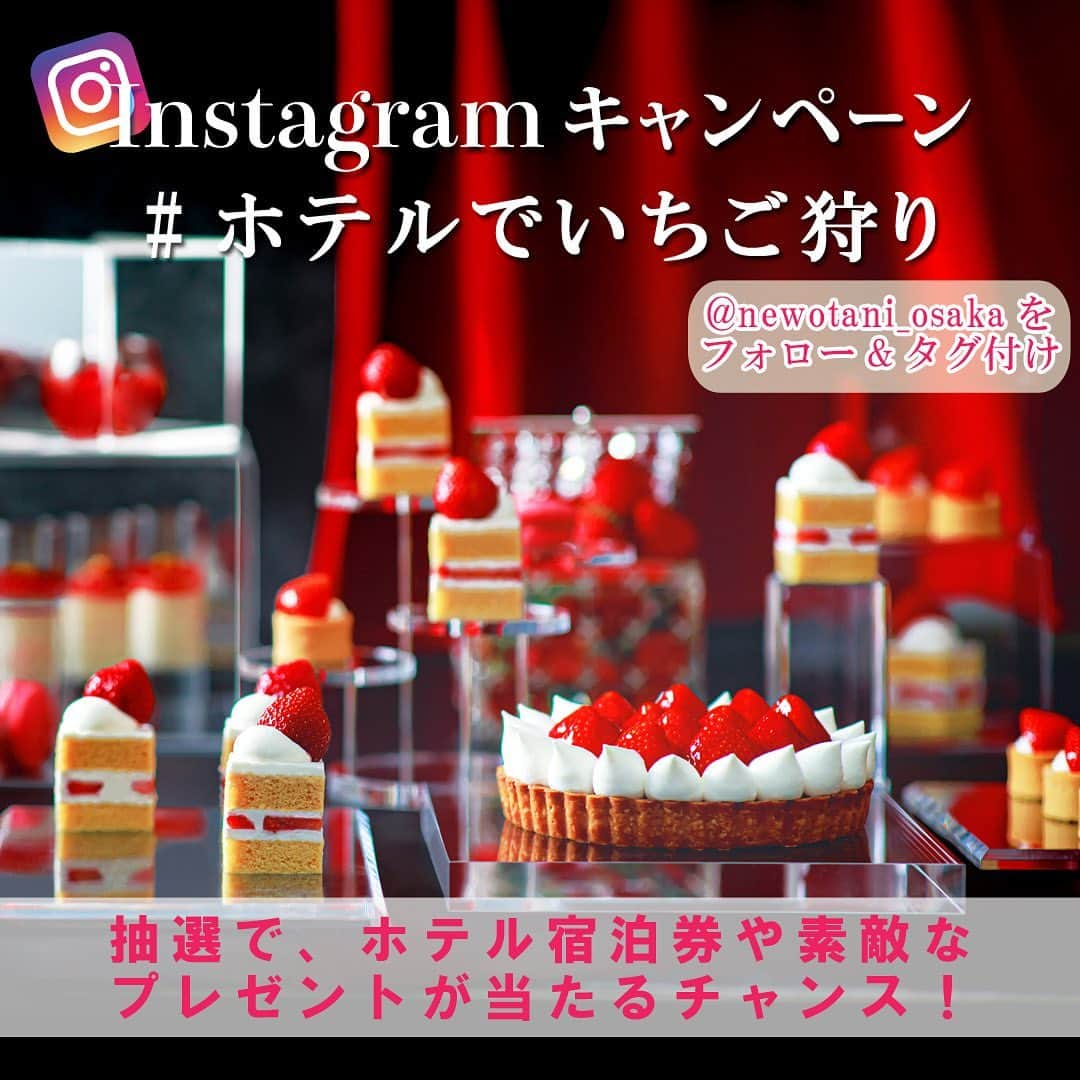 newotani_osakaのインスタグラム