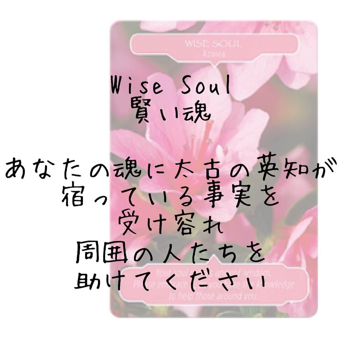 心幸 -Miyuki-さんのインスタグラム写真 - (心幸 -Miyuki-Instagram)「Wise Soul ﻿ 賢い魂﻿ ﻿ あなたの魂に太古の英知が宿っている事実を﻿ 受け容れ周囲の人たちを助けてください﻿ ﻿ +‥‥‥‥‥‥‥‥‥‥‥‥‥‥‥+﻿ ﻿ 成功のカギは﻿ メッセージに秘められています﻿ ﻿ +‥‥‥‥‥‥‥‥‥‥‥‥‥‥‥+」1月14日 15時19分 - healingxpoppy