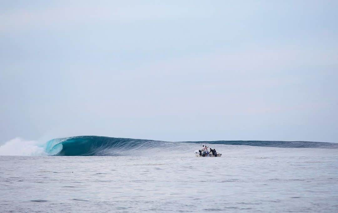 surflineのインスタグラム