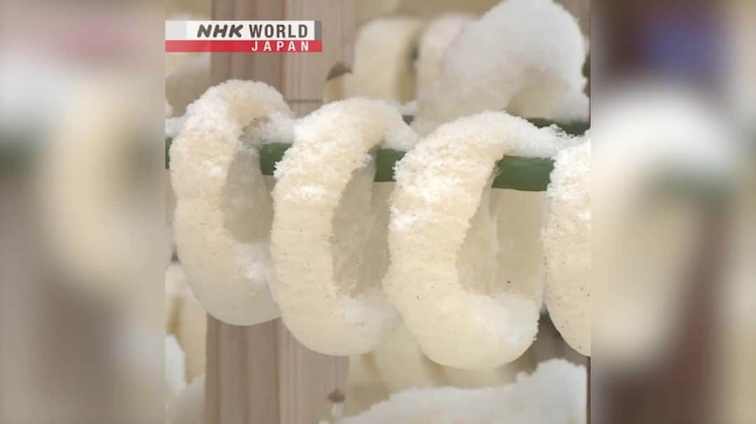 のインスタグラム：「Have you tried belly button radishes? Known as heso daikon in Japanese, they're a winter treat whose dried shape resembles a navel. 😃 Sliced daikon is boiled, skewered and left in the sun, wind and cold, drying out once the snow has melted. 🌬️🌞❄️😋 . 👉Watch more short clips｜Free On Demand｜At a Glance｜NHK WORLD-JAPAN website.👀 . 👉Tap the link in our bio for more on the latest from Japan. . . #hesodaikon #へそ大根 #driedfood #daikon #japaneseradish #japanesefood #japanesetreat #umami #Marumori #MiyagiPrefecture #japan #AtAGlance #nhkworld #nhkworldnews #nhkworldjapan #nhk」