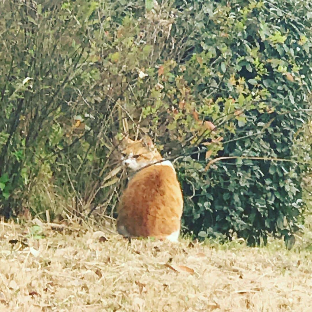 前野えまのインスタグラム