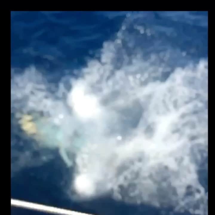 オーランド・ブルームのインスタグラム