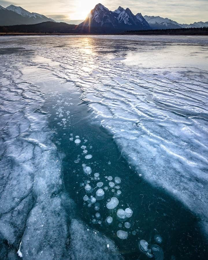 National Geographic Travelさんのインスタグラム写真 - (National Geographic TravelInstagram)「Photo by @kahliaprilphoto / One of my favorite things about winter in the mountains is exploring the endless patterns and textures created in the ice on the frozen lakes. This was taken in Alberta, Canada.」1月14日 8時35分 - natgeotravel