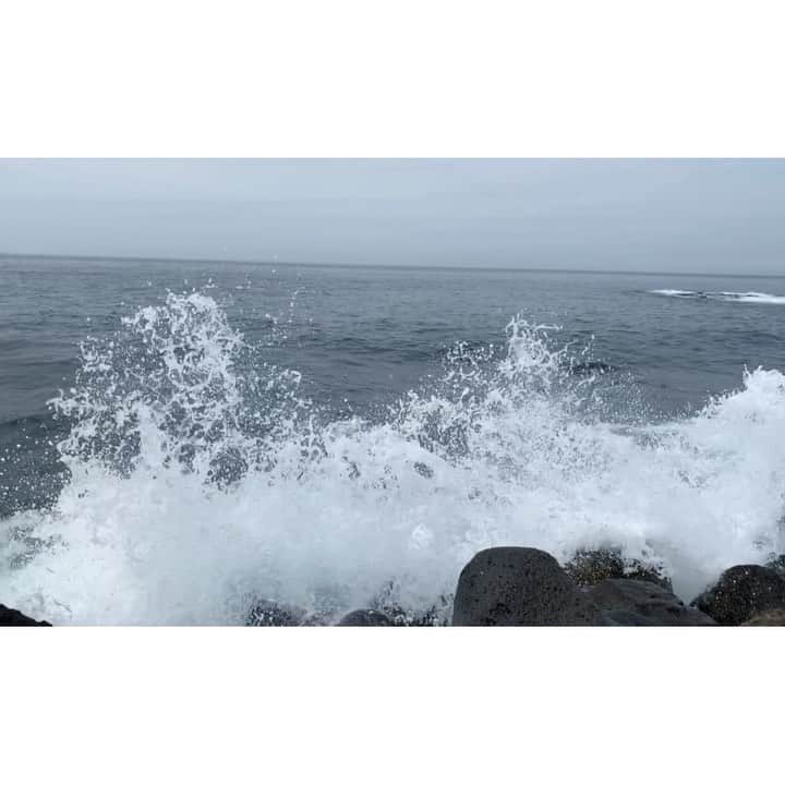 チン・ジェヨンのインスタグラム：「. 벌써 목요팅 🐳 . . #진재영_제주지엔느  . .」
