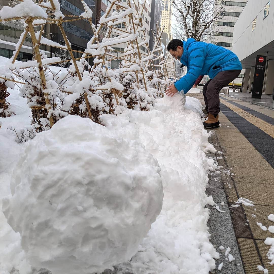 北海道テレビ「イチオシ！モーニング」さんのインスタグラム写真 - (北海道テレビ「イチオシ！モーニング」Instagram)「⛄⛄⛄ 雪が降ると テンションがあがっちゃう #清水予報士  今シーズン 雪が少なかった 札幌中心部に きれいに積もった雪に 我慢できませんでした😁😁  #イチモニ #HTB #生放送よりイキイキ #手伝う #ルナ #お足元気をつけて #いってらっしゃい」1月14日 8時43分 - htb_ichimoni