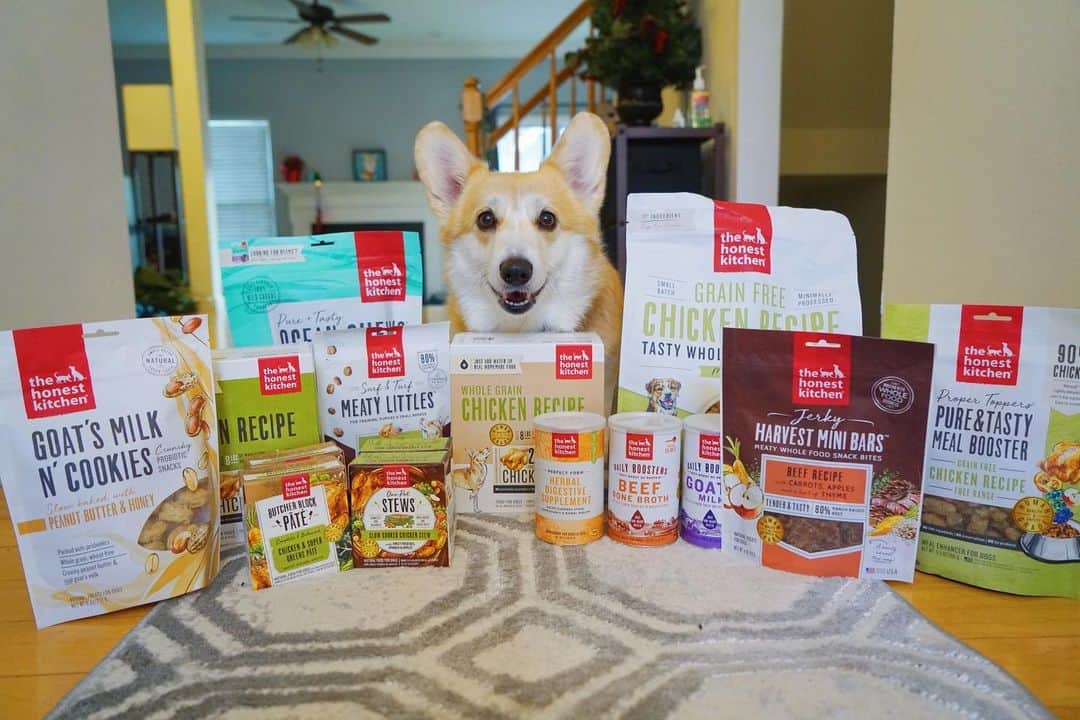 Liloさんのインスタグラム写真 - (LiloInstagram)「✨𝐆𝐈𝐕𝐄𝐀𝗪𝐀𝐘 𝐓𝐈𝐌𝐄✨ ⁣ ⁣ I teamed up with @honestkitchen to offer one lucky winner $𝟐𝟎𝟎 in food and treats. Why do you want to win? Because pets deserve human-grade meals, too! So treat your pets to some high quality and delicious foods/treats. Here's how to enter:⁣ ⁣ 1. Follow me @lilothewelshcorgi and @honestkitchen⁣ (will check) 2. Like post/Tag a friend in the comments below⁣ 3. Extra entry if you tell me why your pet deserves quality good food! ⁣ ⁣ That's it! Winner will be announced after 1 week from day 𝟏/21/𝟐𝟏 12AM EST on Instagram stories (or in the comments below)! Good luck!  ⁣ *𝐎𝐧𝐥𝐲 𝐔𝐒 𝐫𝐞𝐬𝐢𝐝𝐞𝐧𝐭𝐬 𝐞𝐥𝐢𝐠𝐢𝐛𝐥𝐞* #honestkitchen」1月14日 9時17分 - lilothewelshcorgi