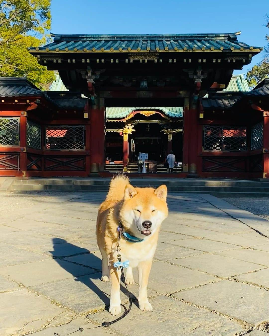 まる（まるたろう）のインスタグラム