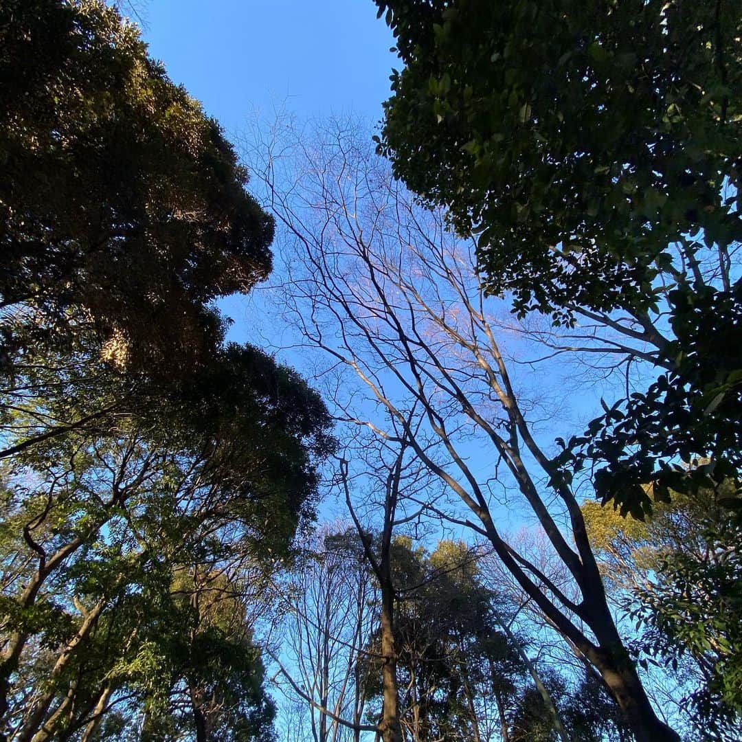 小川哲史のインスタグラム