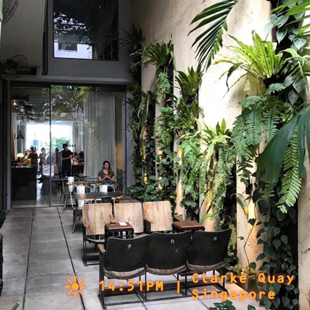HereNowさんのインスタグラム写真 - (HereNowInstagram)「Spend a refreshing morning in a courtyard full of natural light and greenery at this cafe  📍：Punch（Singapore）  "As cliche as it may sound, PUNCH is the perfectly instagrammable brunch and coffee spot you won’t want to miss. The beautiful interiors and exteriors (they have a lovely open space at the back with walls full of plants) make it a great space to just take a breather from whatever is going on. And of course the food and coffee is top notch too!" Creator, Zara Salahuddin @zaaras   #herenowcity #herenowsignapore #Singapore #visitsingapore #シンガポール #싱가포르 #싱가포르여행 #싱가폴 #新加坡 #comfortfood #instafood #food #foodie #hkfoodie #hkfood #instagood #picoftheday #instadaily #photooftheday #igers #wonderfulplaces #beautifuldestinations #travelholic #travelawesome #traveladdict #igtravel #livefolk #instapassport」1月14日 11時00分 - herenowcity