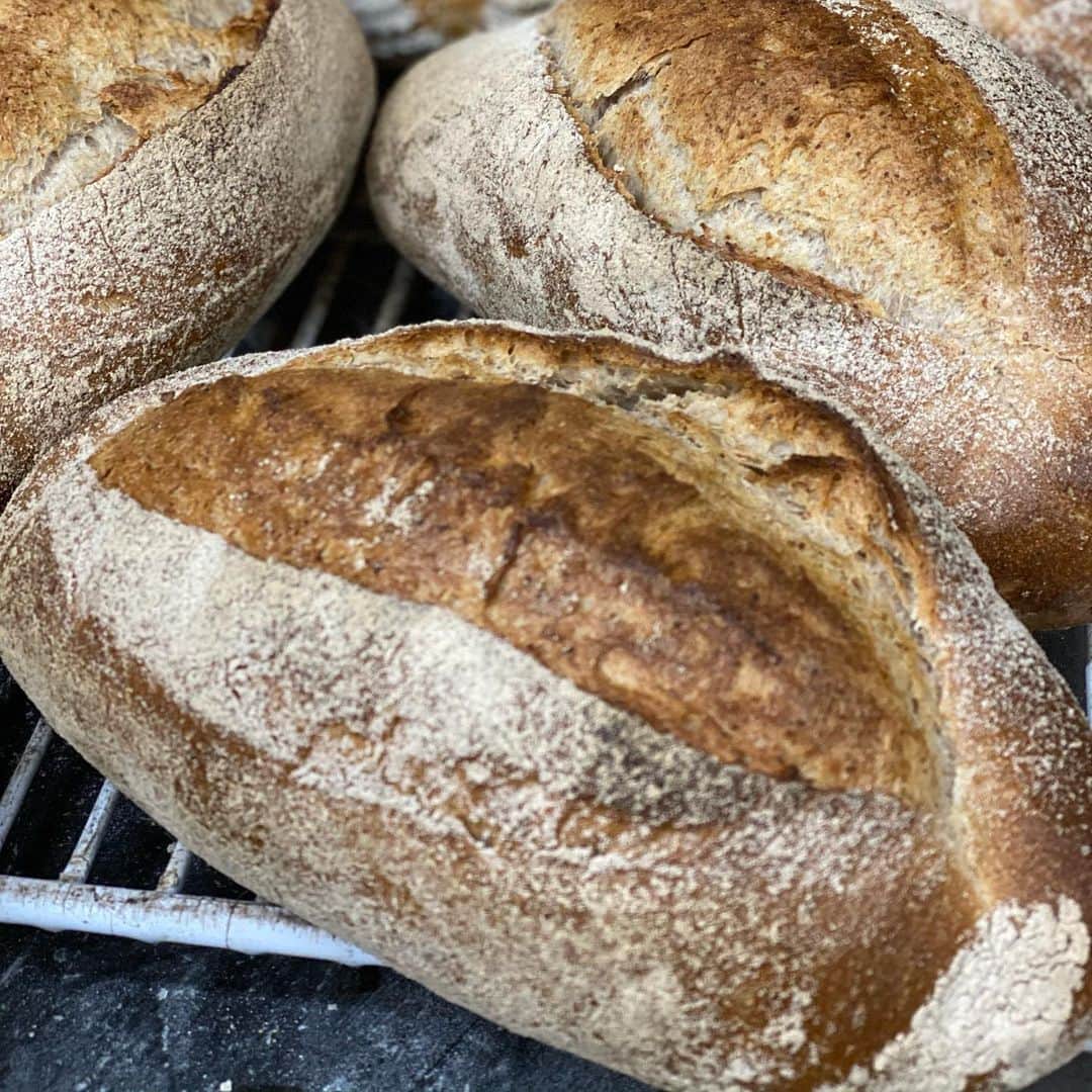 魔女菅原のグルメインスタ