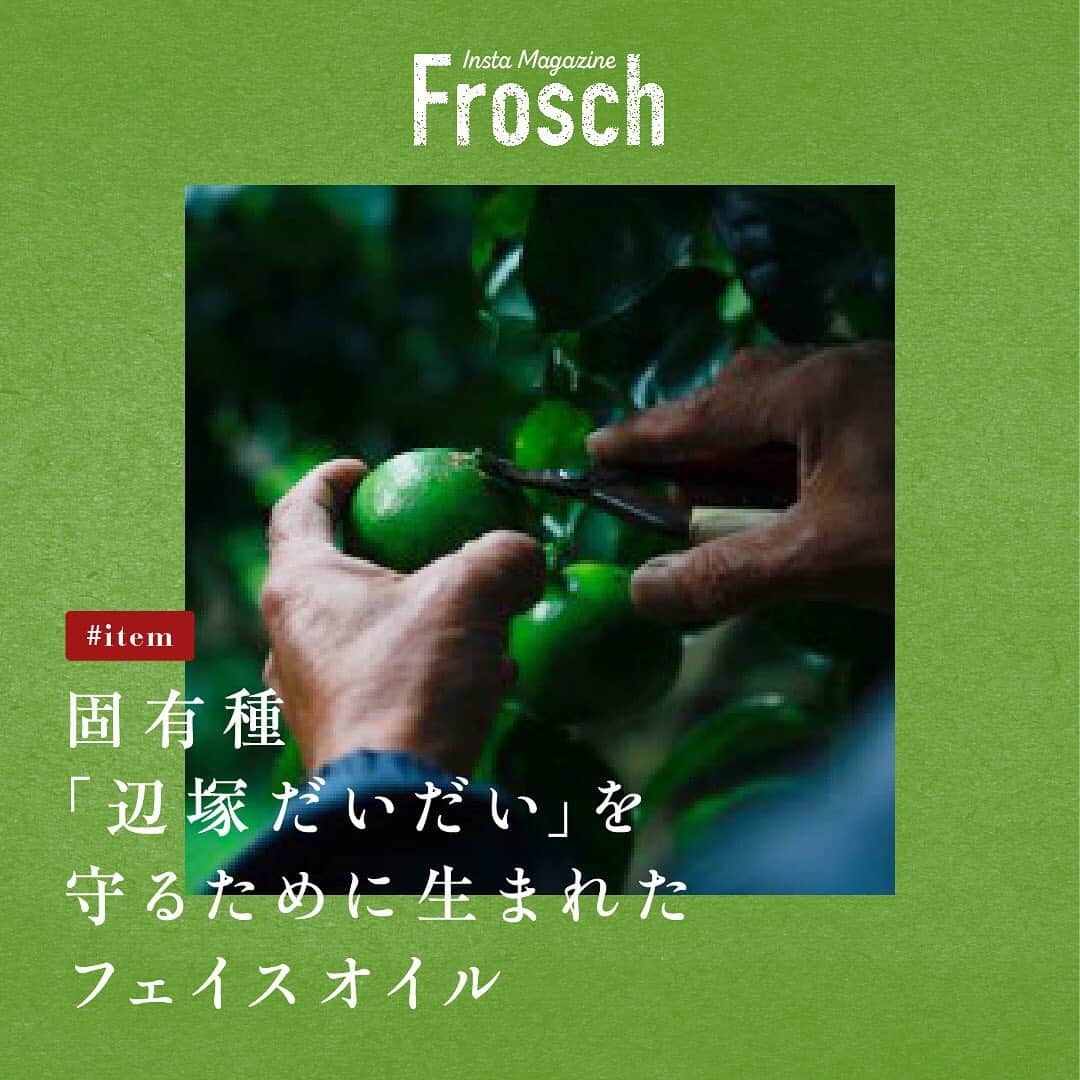 Frosch（フロッシュ）のインスタグラム：「自然にやさしいフロッシュが、自然にやさしいアイテムをピックアップ🌿﻿ 今回ご紹介するのは、ナチュラルコスメブランド「EUDITION」です。﻿ ﻿ 鹿児島県肝付町にある集落でしか栽培されない、地域固有種の柑橘・辺塚だいだいは、香りと酸味が素晴らしく昔から酢の代わりに貴重な調味料として使われてきました。自生する辺塚だいだいは、農薬や化学肥料に頼らなくても力強く育つ希少な植物ですが、固有種がゆえに大量生産・大量消費には不向き。鹿児島県内でもあまり知られていないそう🍊﻿ ﻿ そんな希少な固有種を残し、未来に繋ぎたいと立ち上がった「EUDITION」。そして、柑橘・辺塚だいだいから抽出した発酵エキスを配合したフェイスオイル「EUDITION OIL」が誕生しました。地元のNPOがジュースやジャムなどの加工品を作る時に廃棄される果皮と、剪定で処分される枝葉を買い取り、エキスを抽出。捨てられてしまう部分を使うことで、生産農家に負担をかけずに新しい価値を生み出しています。また、売上の1％は、生産地・岸良に還元されます。﻿ ﻿ 柔らかな香りで、肌にやさしく馴染んでしっかりと保湿してくれる「EUDITION OIL」。離れた土地で暮らす生産者の想いを感じながら、日々のスキンケアをする時間をぜひ楽しんでみてください。﻿ ﻿ 「EUDITION」﻿ https://eudition.com﻿ ﻿ #eudition #自然 #オーガニック #オーガニックコスメ #コスメ #スキンケア #柑橘 #無農薬 #保湿 #環境 #地球にやさしい #サスティナブル #sustainable #エシカル #丁寧な暮らし #SDGs #エコ #eco #自然にやさしい #手肌にやさしい #食器用洗剤 #フロッシュのある暮らし #フロッシュ #Frosch #ライフスタイル #lifestyle」