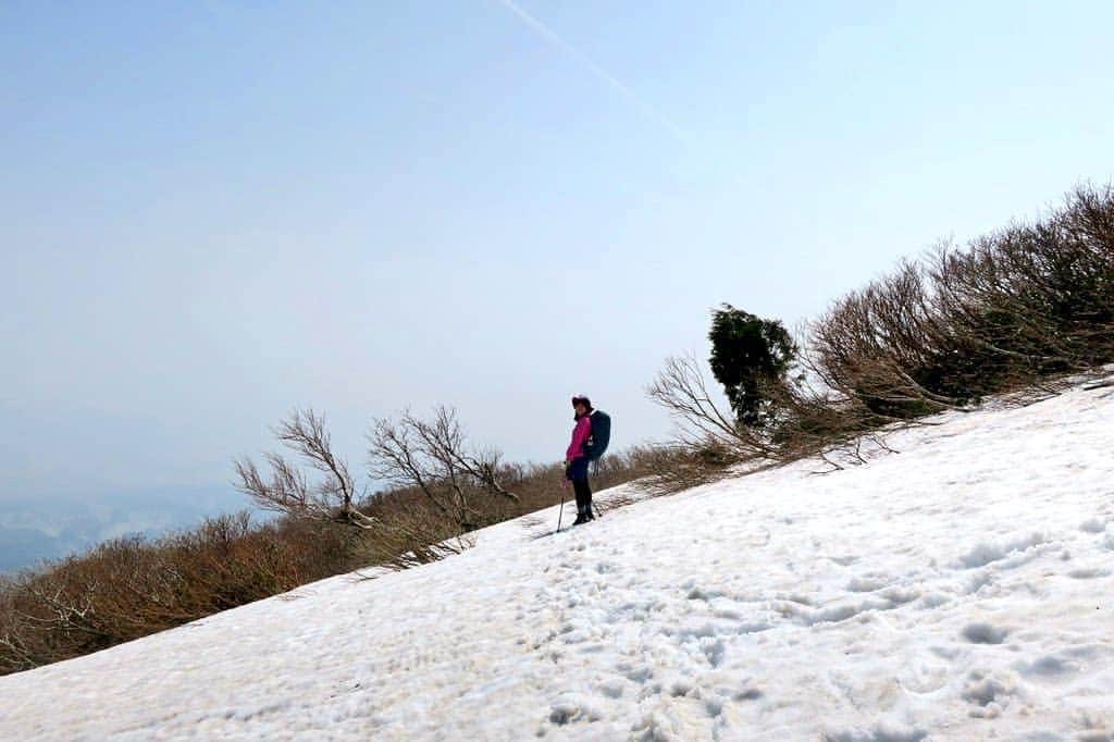 桜花さんのインスタグラム写真 - (桜花Instagram)「おはようございマウンテン🗻🍀  本日もナイスな１日にいたしましょ🌷✨ 四年前に訪れた佐渡島の金北山🗻🌷  また再訪したい、素晴らしき山が沢山あります(^^)🍀   #佐渡島  #山  #山登り #やま  #山歩き  #mountain #mountains  #新潟  #niigata」1月14日 12時06分 - mountainohka