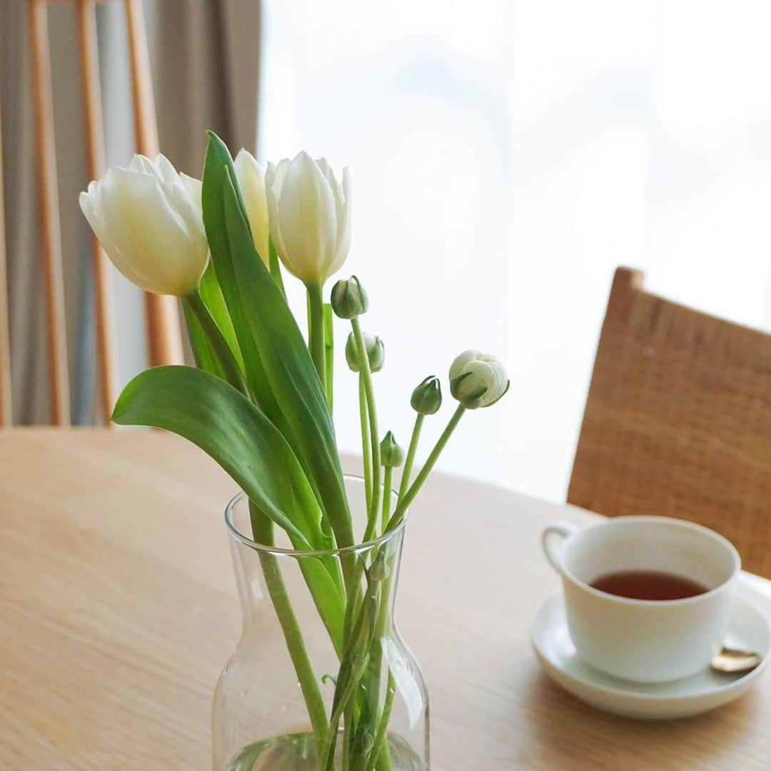 Re:CENO（リセノ）さんのインスタグラム写真 - (Re:CENO（リセノ）Instagram)「【リセノコラム】チューリップで楽しむ、おうち時間。  先日、スーパーの帰り道に ふらっとお花屋さんを覗いたところ、 小ぶりで真っ白なチューリップに 目がとまりました。  こんなに寒いのに、 もう咲いているんだ...！ とすこし驚きつつ、 なんだか春を感じる装いに惹かれ そのままお会計へ。  寒さのあまり、もう少し先の春を 欲していたのでしょうか...笑  凍えながら帰路につき まだ蕾のラナンキュラスと一緒に 活けてみました。  ダイニングに温かみが生まれ 和やかな雰囲気に。 冬のやさしい光が差し込んでくると 春を先取りしたような、 そんな気分にさせてくれます。  お家にこもる日々は続きそうですが、 お部屋にちょっとした変化を 加えるだけで新鮮な気分に。  そんな小さな楽しみを積み重ねながら 春を待ちつつ、その頃には 外でお花見を楽しめると良いなあと思います。  Re:CENO 制作部 いわべ ・ #receno #リセノ #インテリア #インテリアショップ #暮らしを楽しむ #暮らしを整える #テーブルコーディネート」1月14日 12時14分 - receno.interior