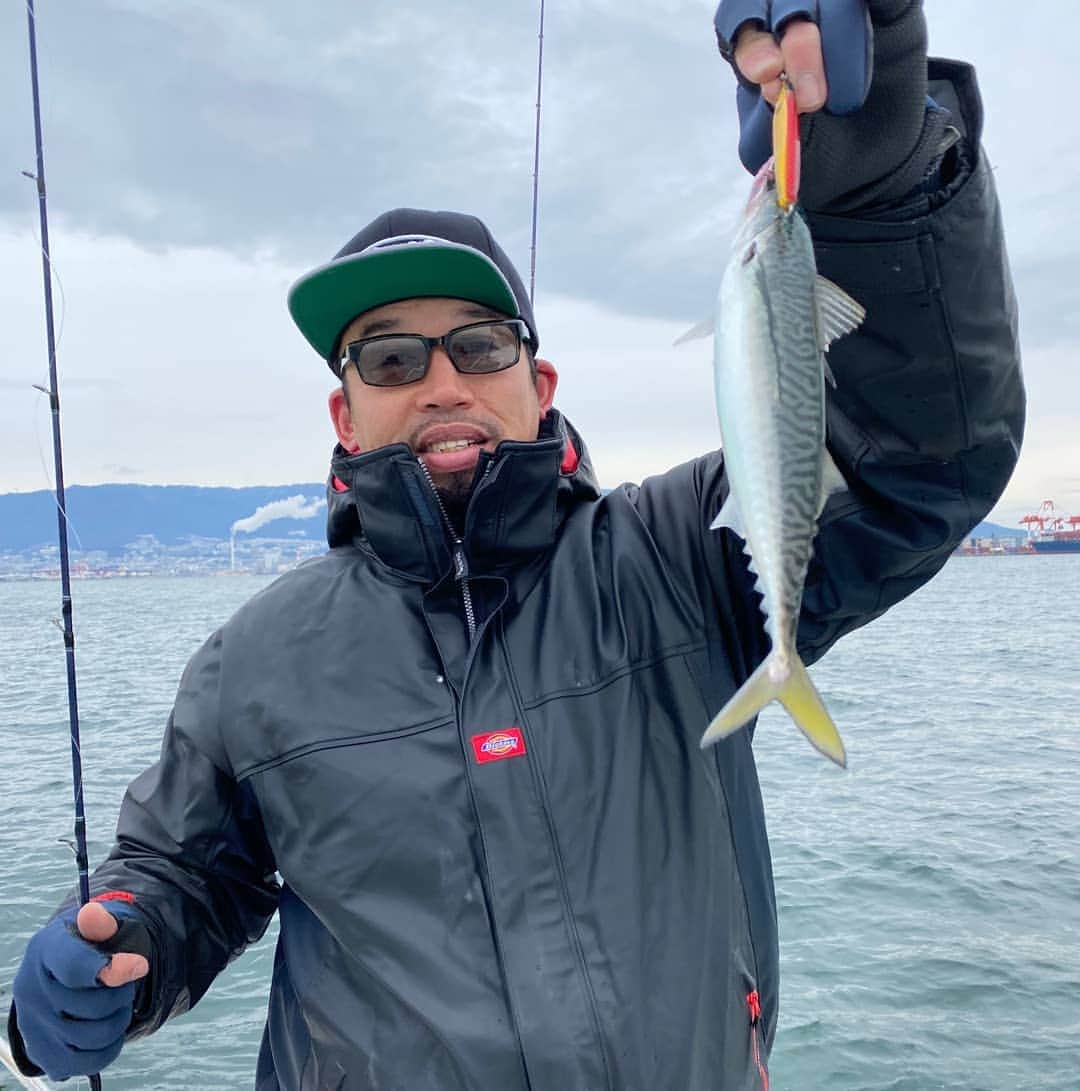 武蔵さんのインスタグラム写真 - (武蔵Instagram)「新年から真鯛が釣れた👍️  めでたい‼️  明石のブランド真鯛、食べたら1番美味しいサイズ  寒すぎて心が折れそうになってたから嬉しかったな～⤴️   なかなか良型のサバも釣れて大満足☺️  #武蔵 #釣り #鯛 #サバ  #fishing #nofishingnolife」1月14日 12時33分 - musashi_k1karate