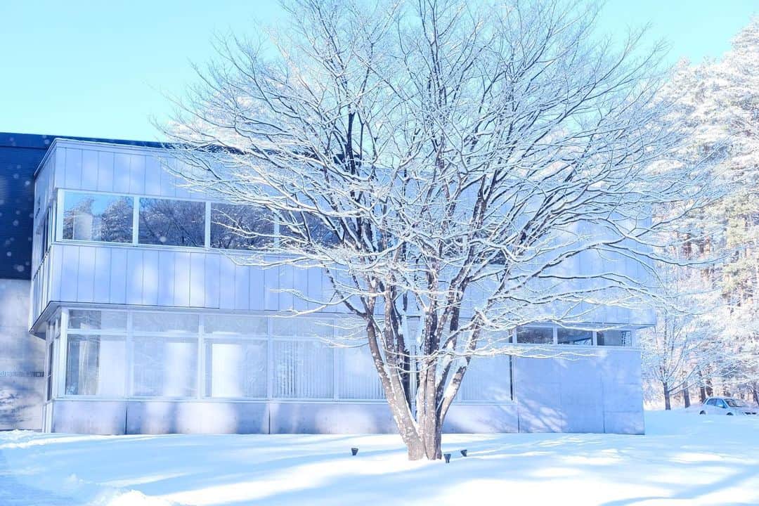 松山油脂さんのインスタグラム写真 - (松山油脂Instagram)「「降り積もった雪がとてもきれいだったので撮影してみました」。そんな言葉とともに、富士河口湖工場のスタッフから、雪景色が届きました。  #松山油脂 #matsuyama #松山油脂富士河口湖工場 #松山油脂ファクトリーショップ #雪景色」1月14日 13時02分 - matsuyama_official