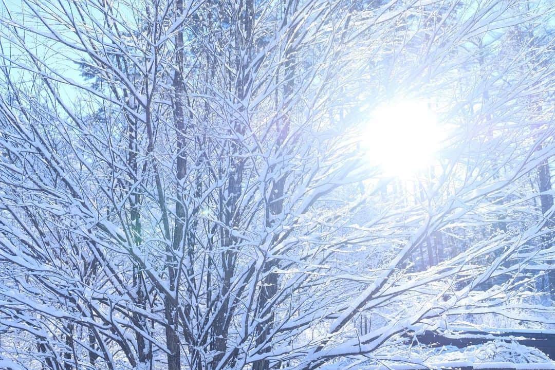 松山油脂さんのインスタグラム写真 - (松山油脂Instagram)「「降り積もった雪がとてもきれいだったので撮影してみました」。そんな言葉とともに、富士河口湖工場のスタッフから、雪景色が届きました。  #松山油脂 #matsuyama #松山油脂富士河口湖工場 #松山油脂ファクトリーショップ #雪景色」1月14日 13時02分 - matsuyama_official
